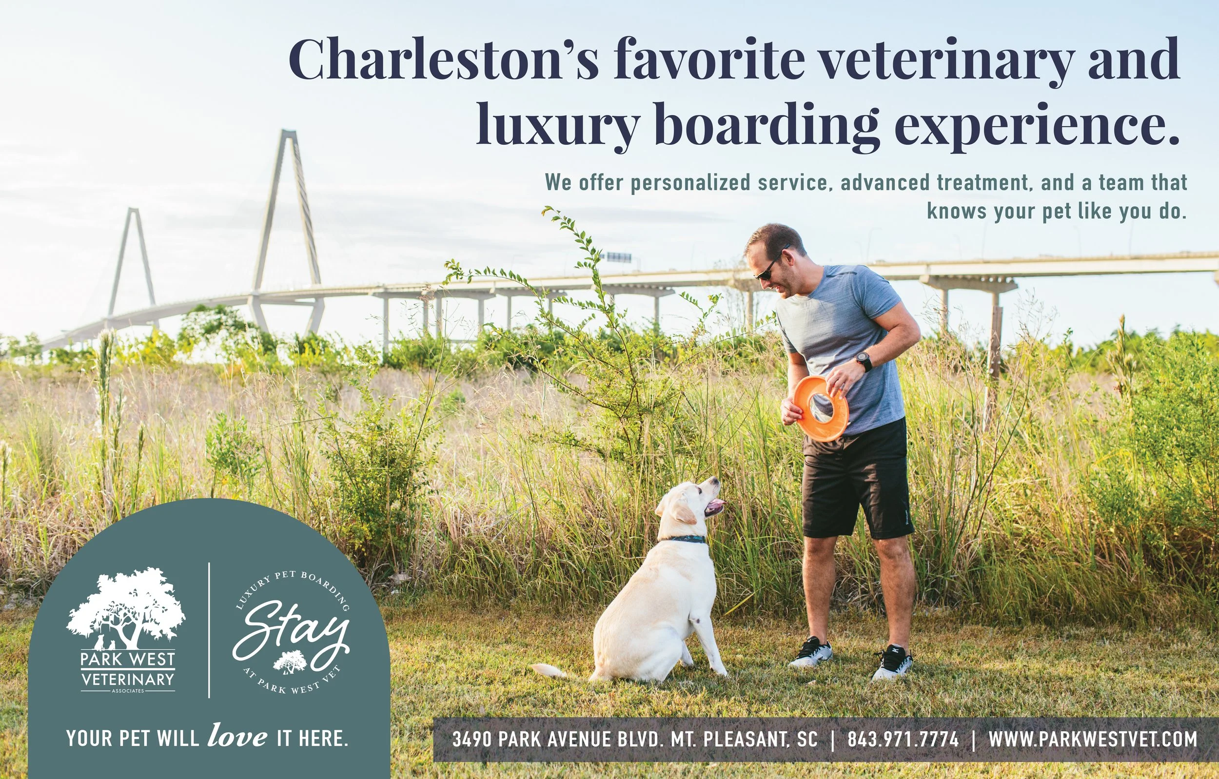 MARKETPLACE — Lowcountry Dog