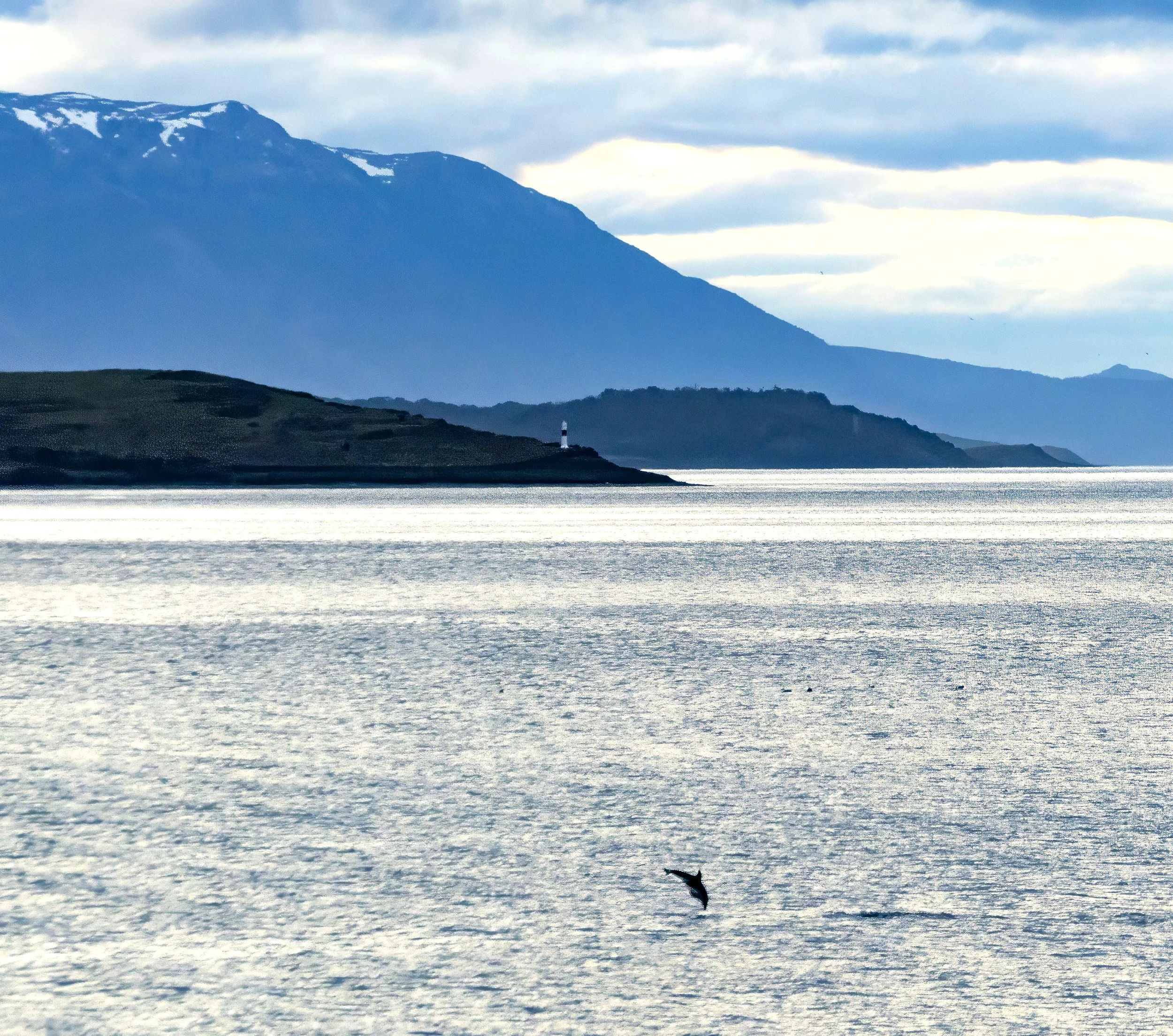 20260109 JP Day 1  0112T.jpg