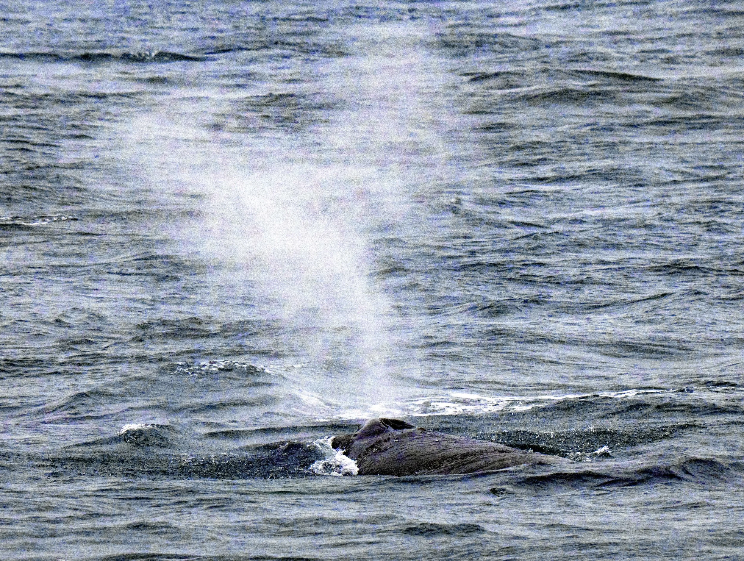 20260111 JP Day 3  0168.jpg