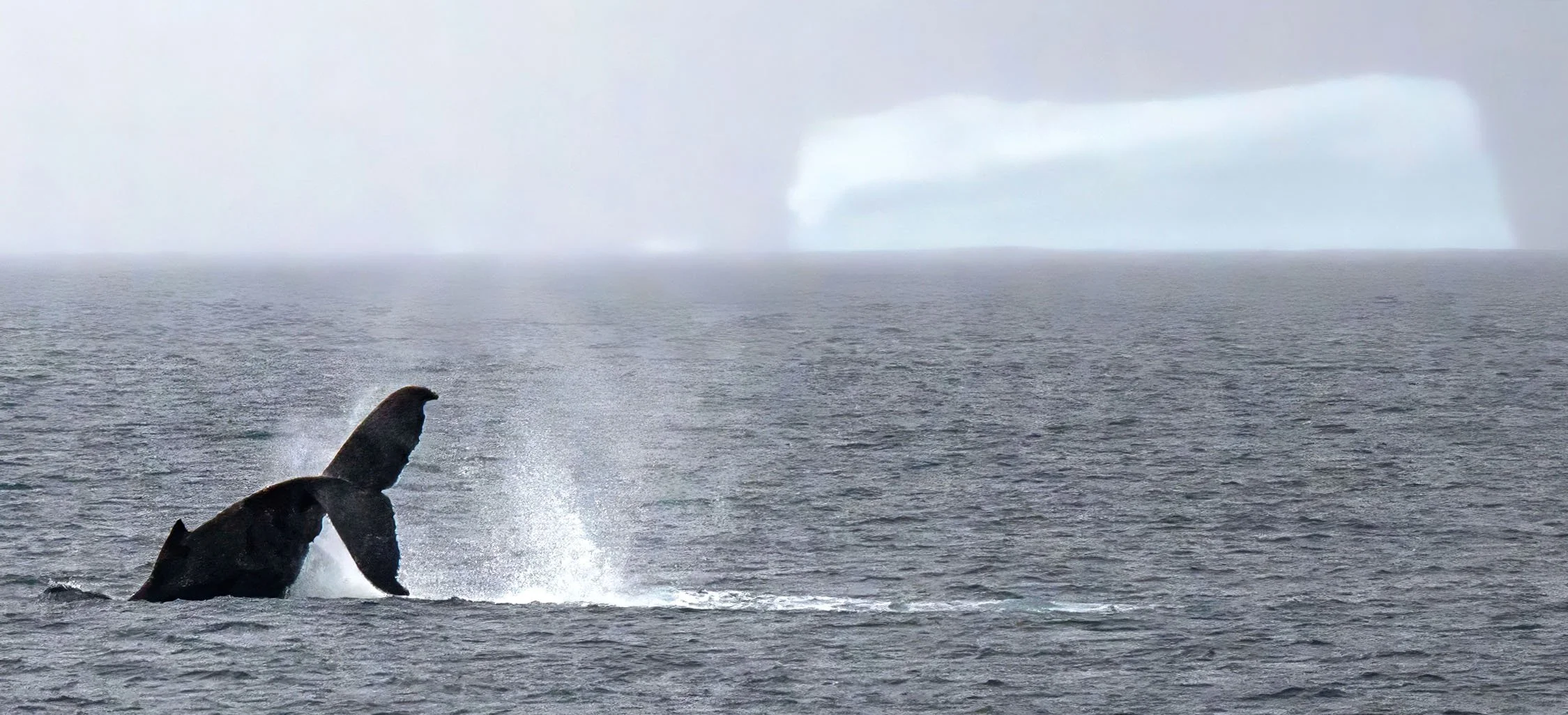 20260111 JP Day 3  0565T.jpg