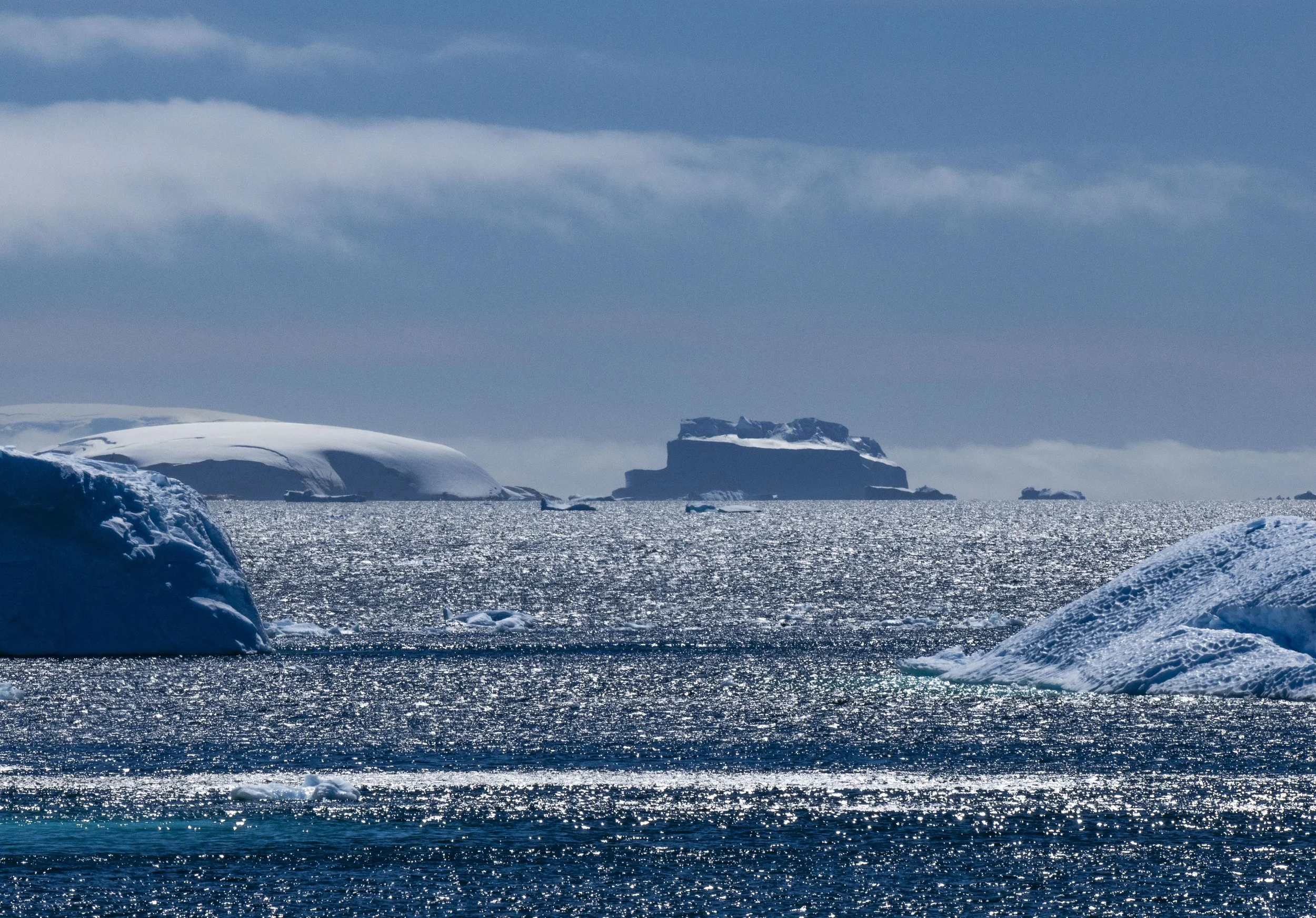 20260112 JP Day 4   1228.jpg