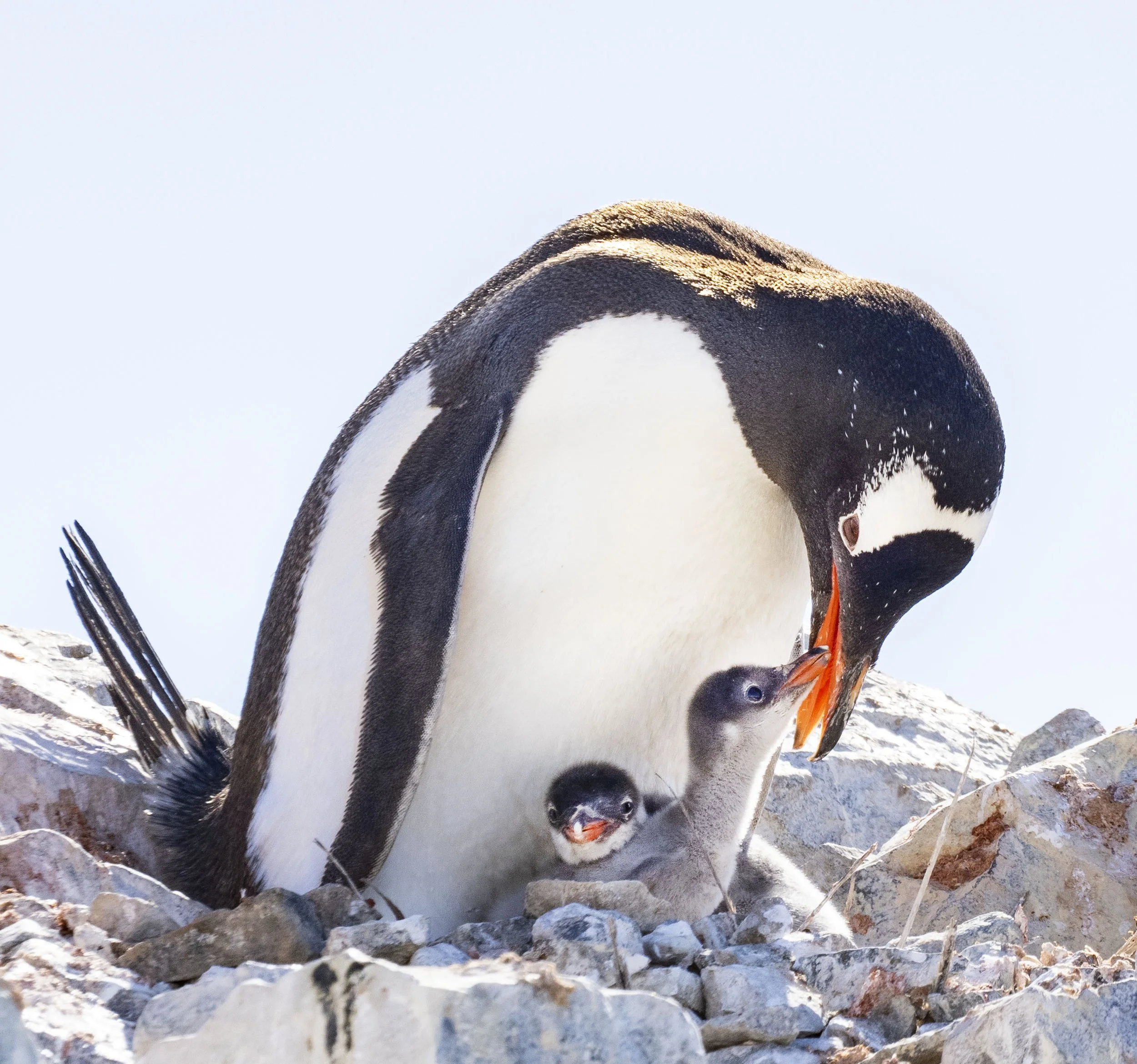 20260112 JP Day 4   1469.jpg