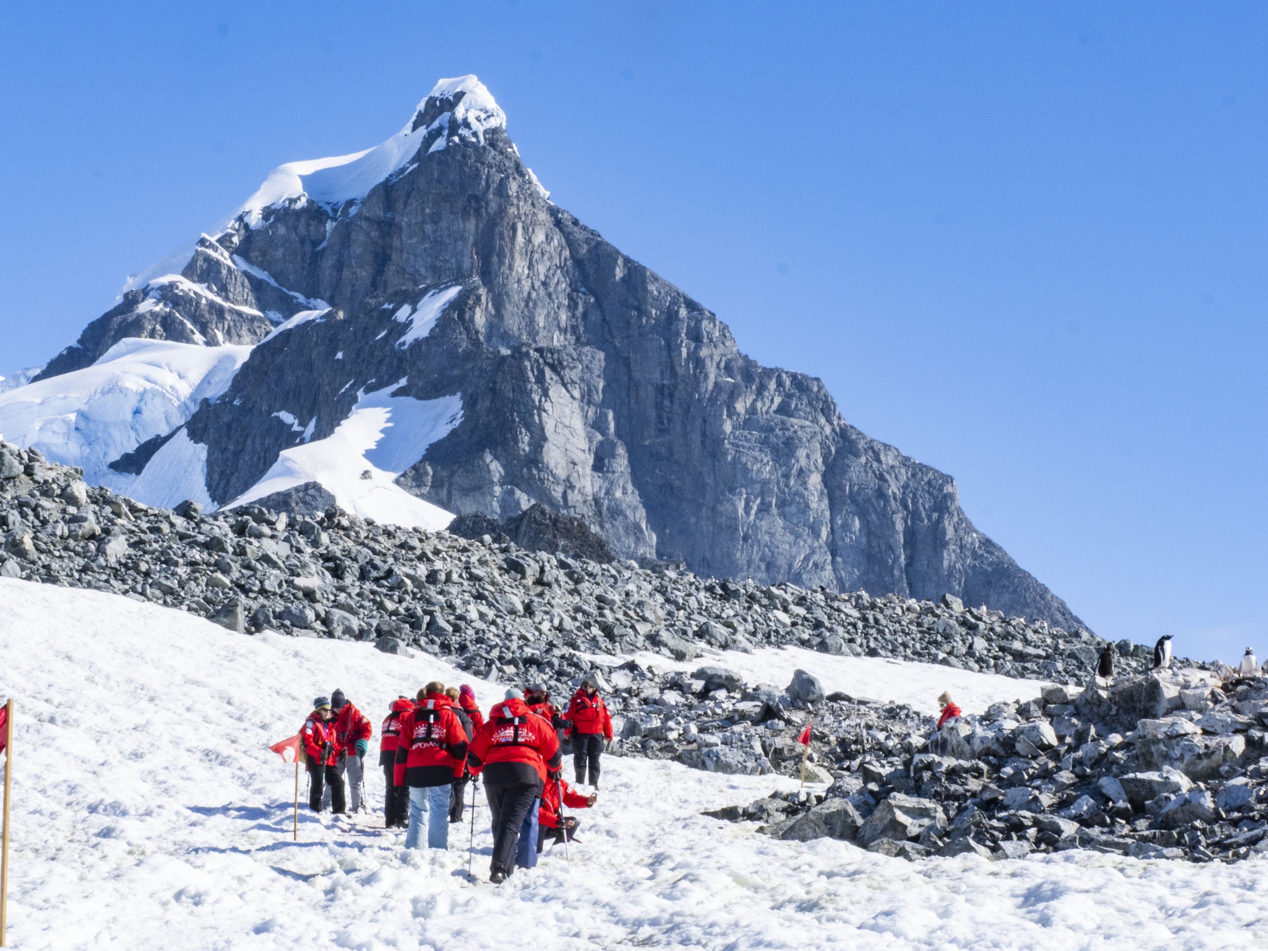 20260112 JP Day 4   1584.jpg