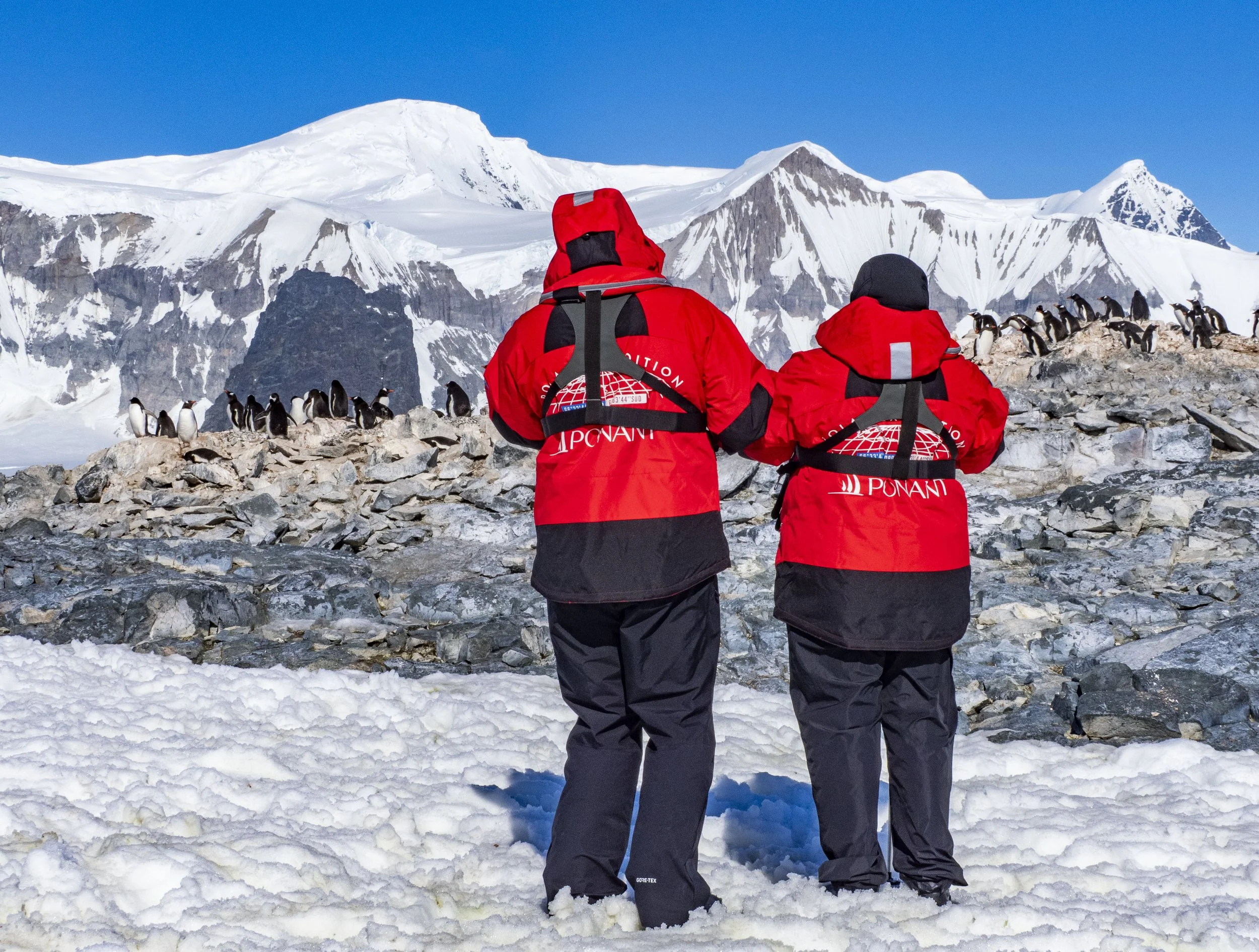 20260112 JP Day 4   1905.jpg