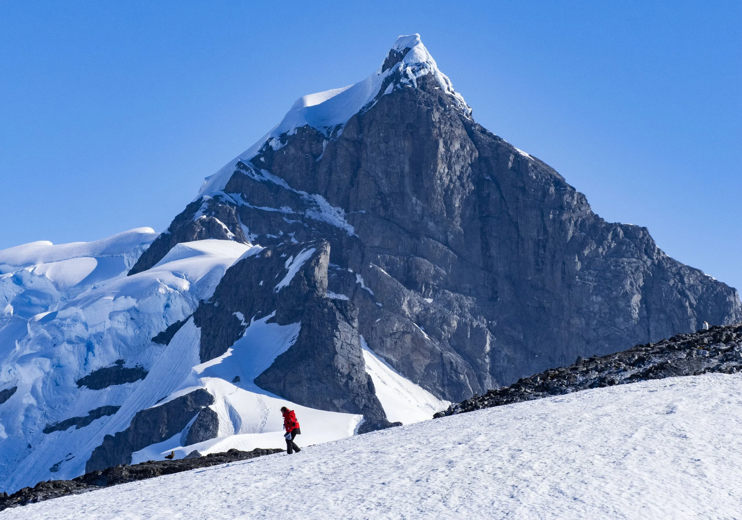 20260112 JP Day 4   1946.jpg