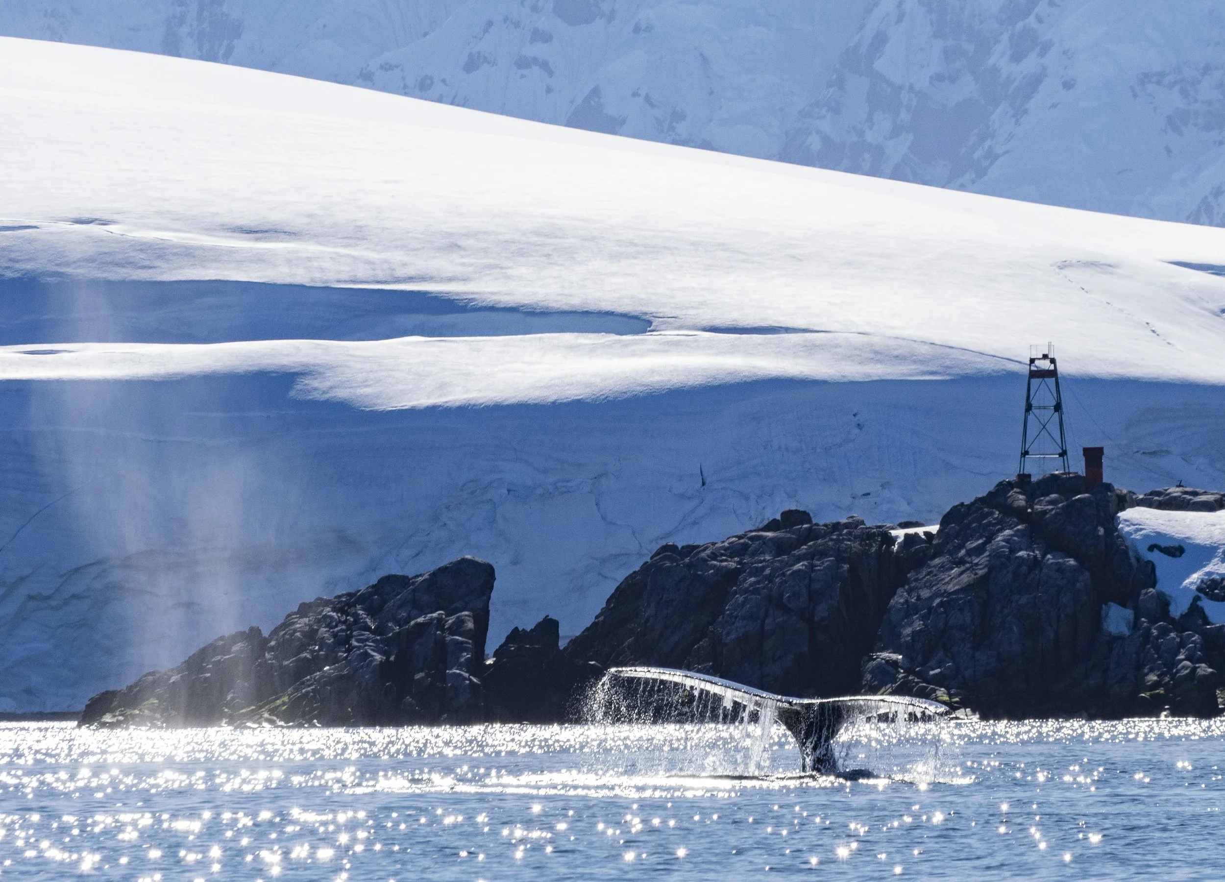 20260112 JP Day 4  0548.jpg