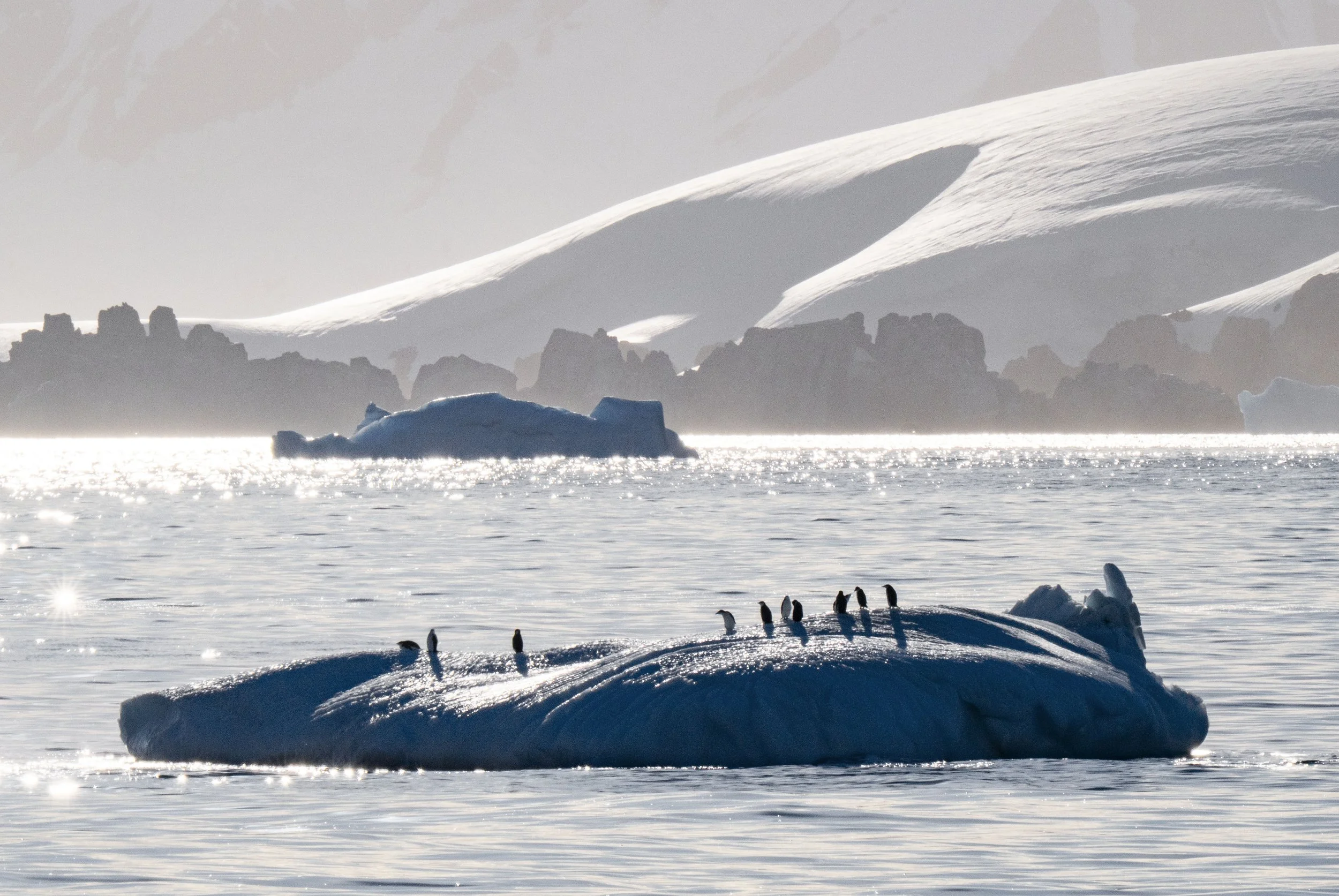 20260112 JP Day 4  0241.jpg