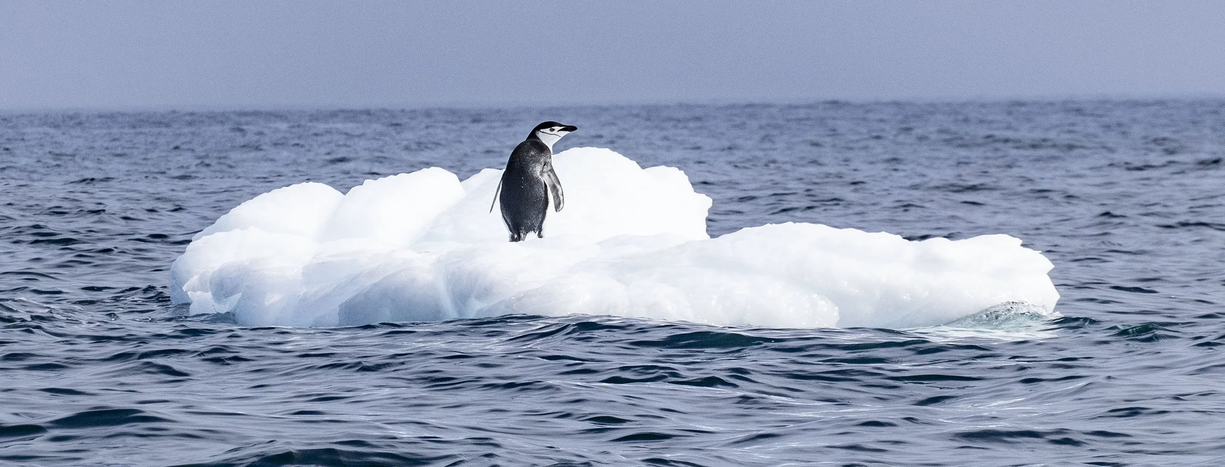 20260112 JP Day 4  0940.jpg