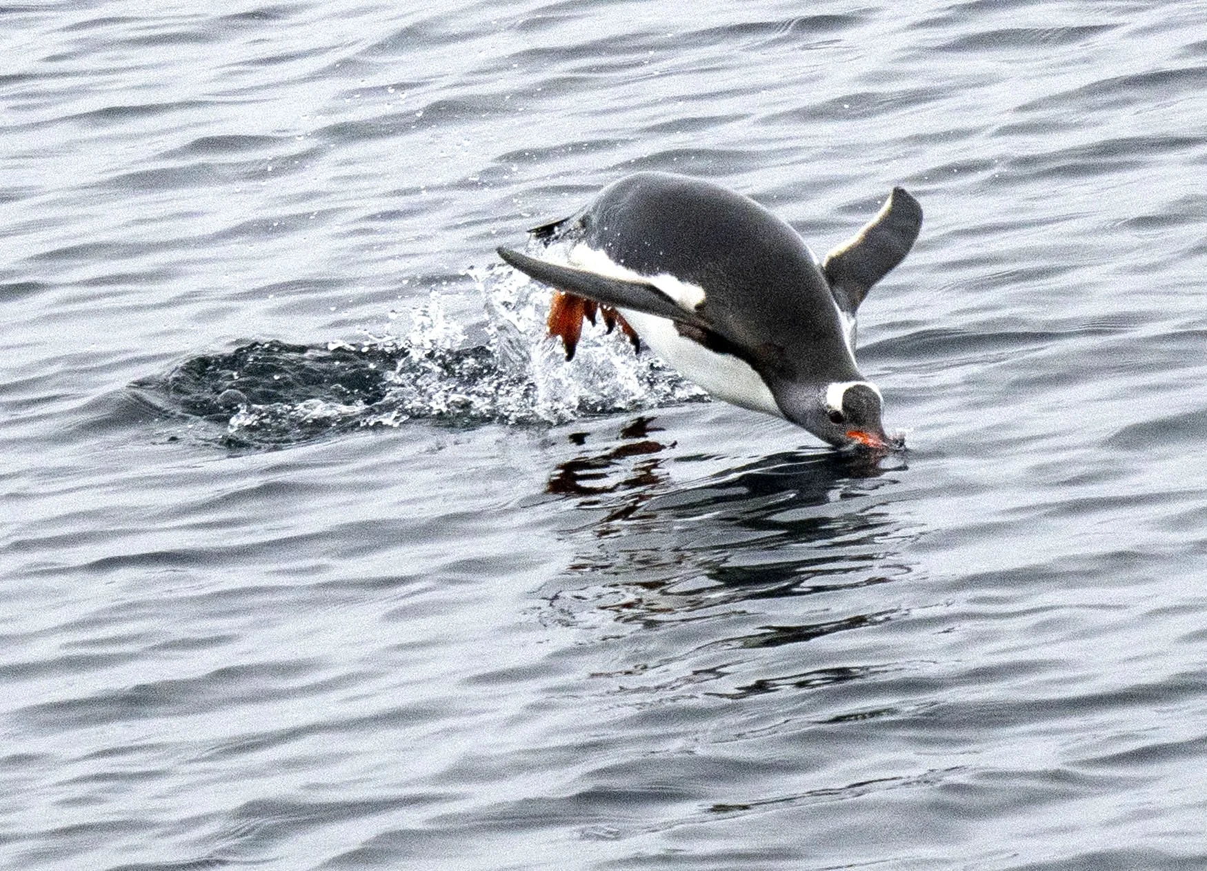 20260113 JP Day 5   0002.jpg