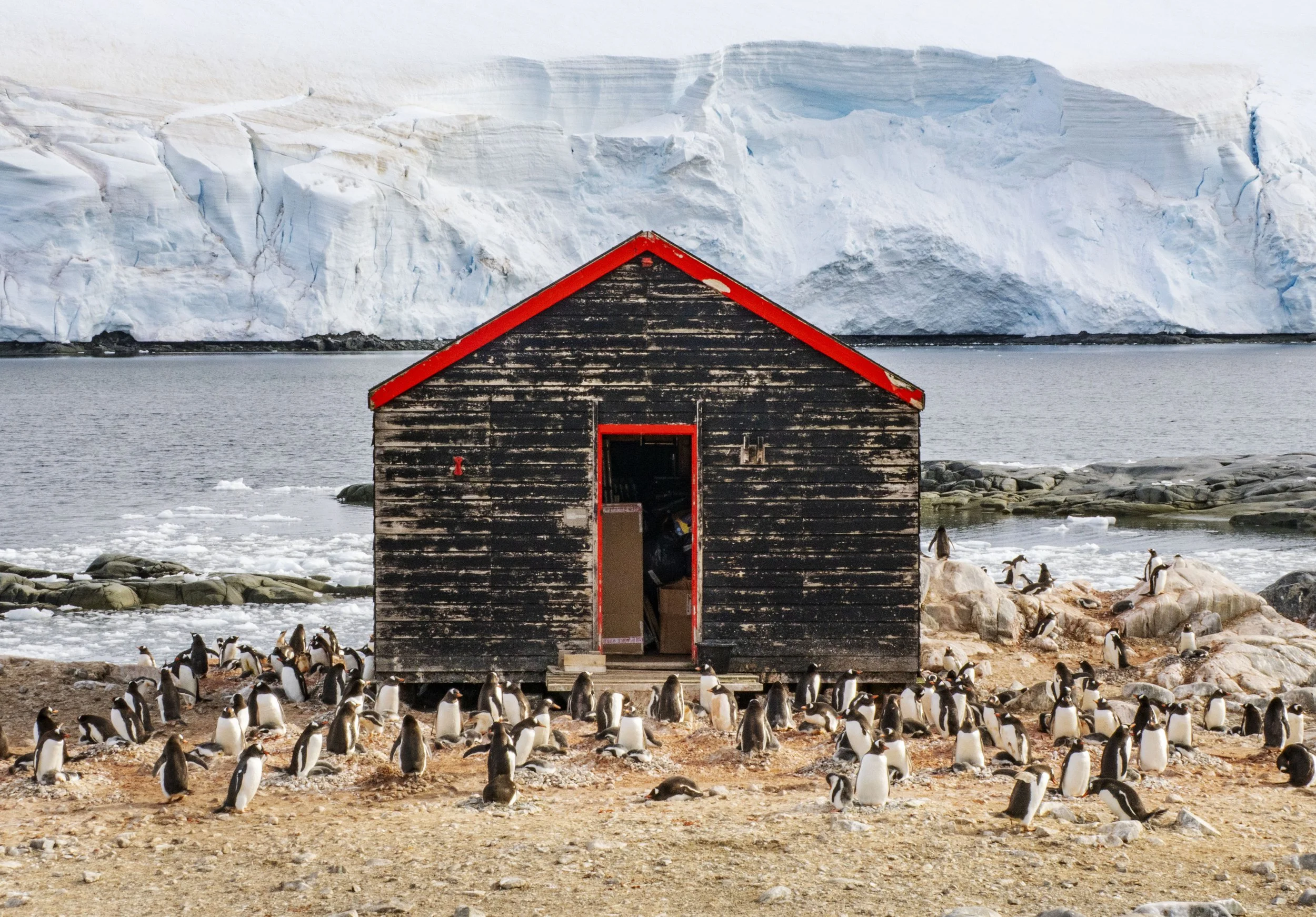 20260113 JP Day 5   0137.jpg