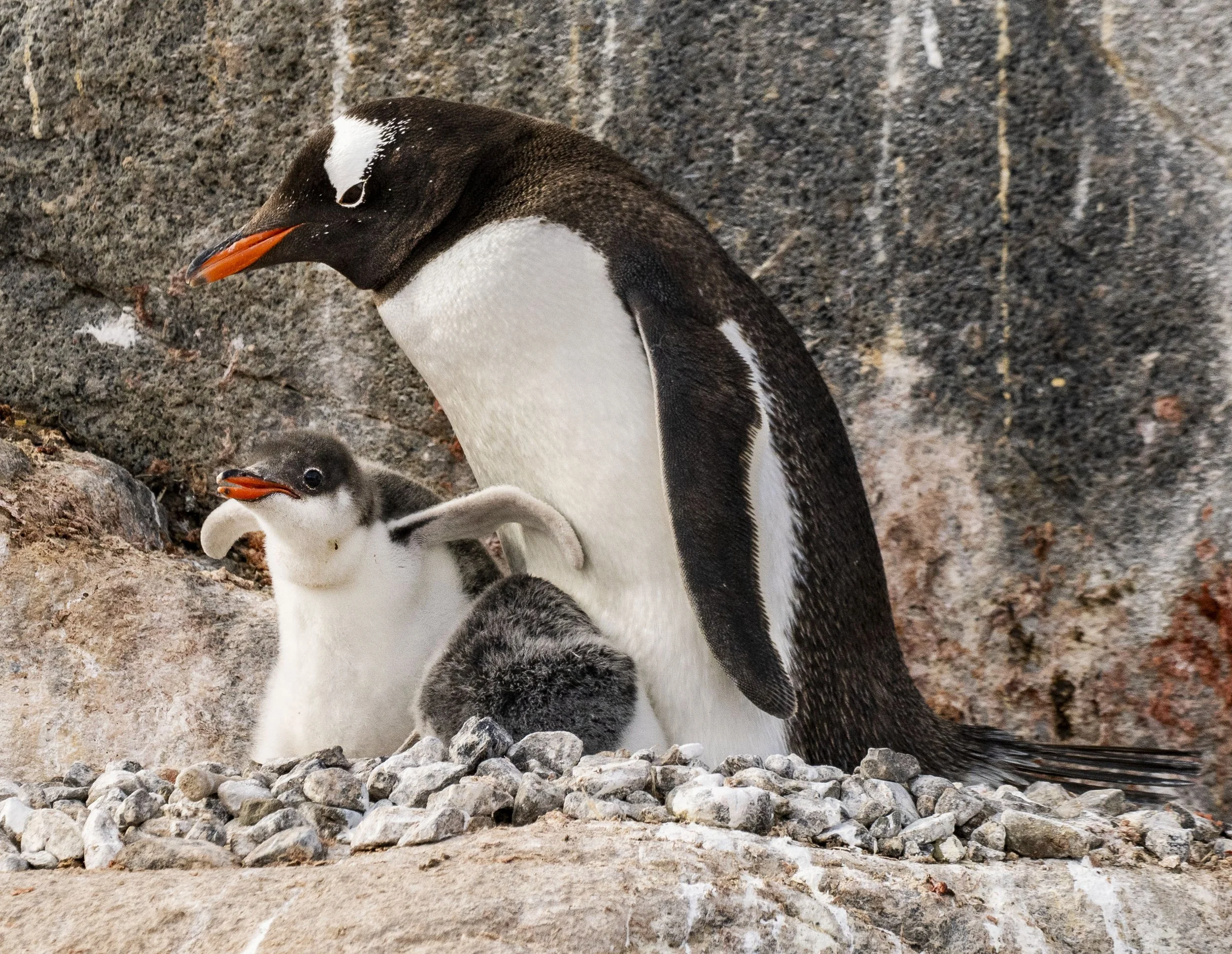 20260113 JP Day 5   0197.jpg