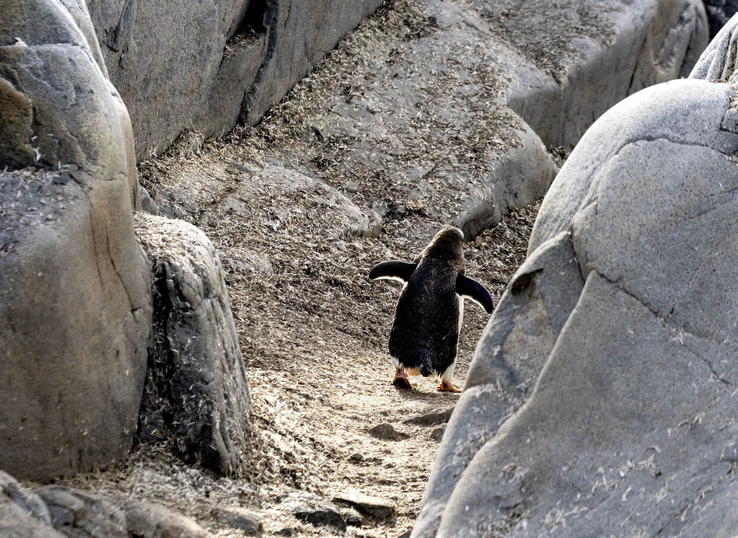 20260113 JP Day 5   0189.jpg