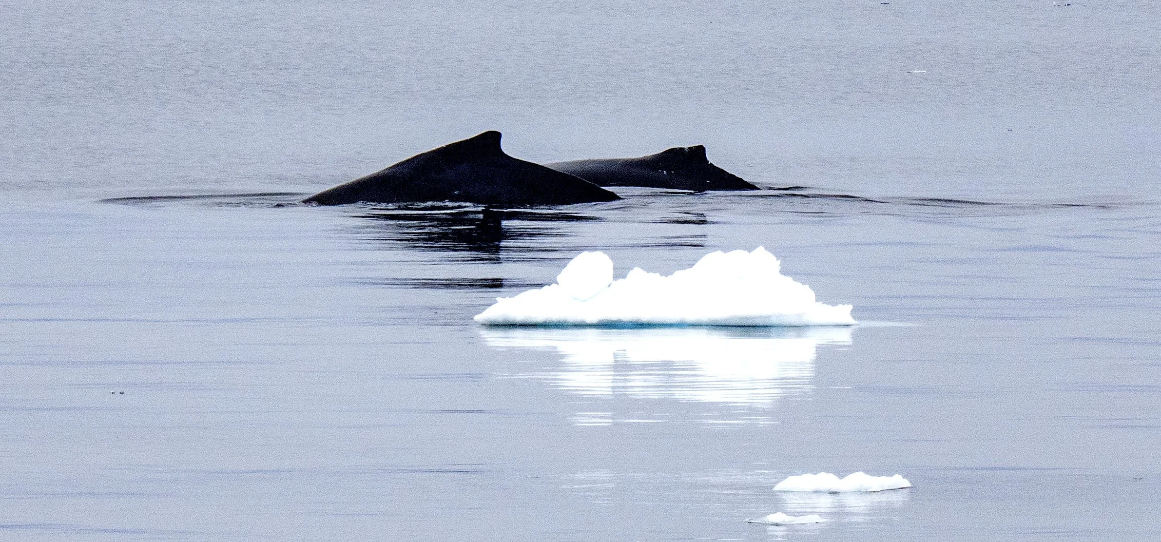 20260113 JP Day 5   0684.jpg