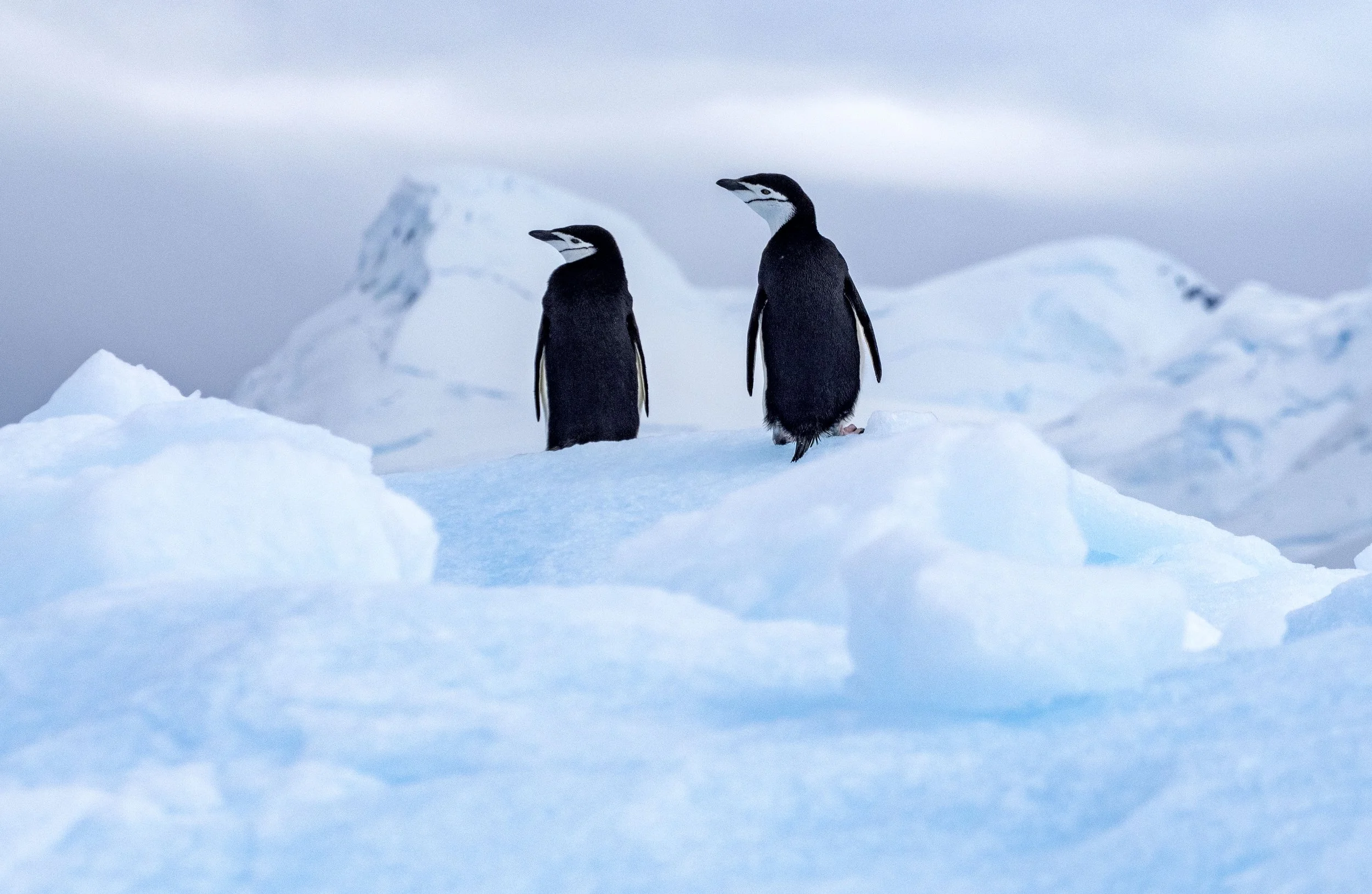 20260113 JP Day 5   0858.jpg