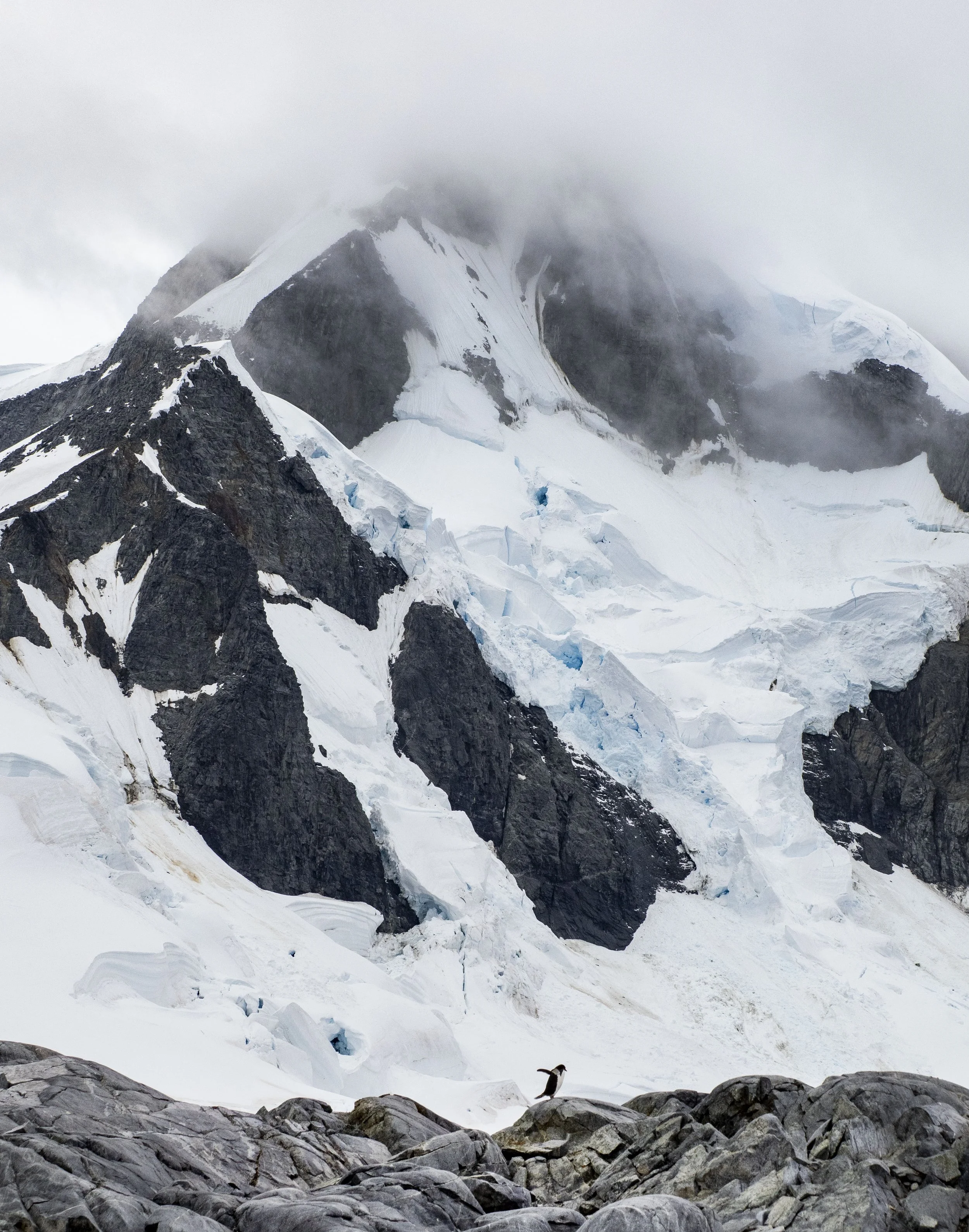 20260114 JP Day 6   0082.jpg