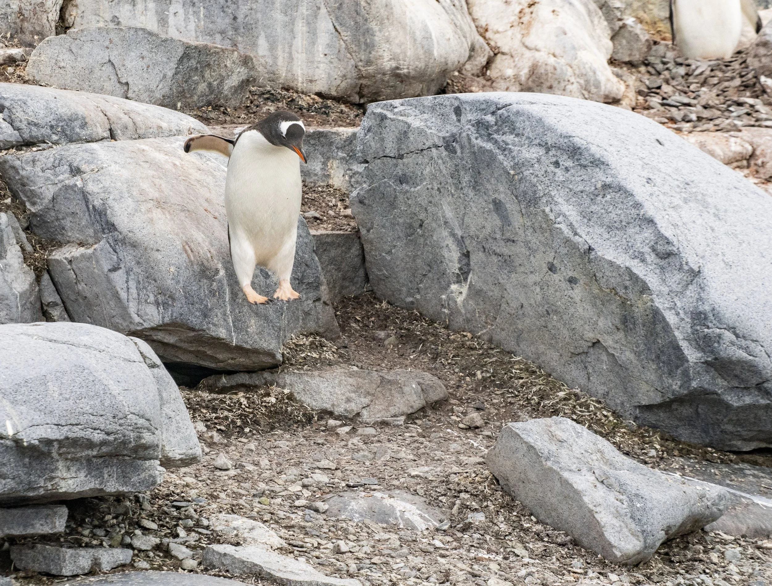 20260114 JP Day 6   0130.jpg