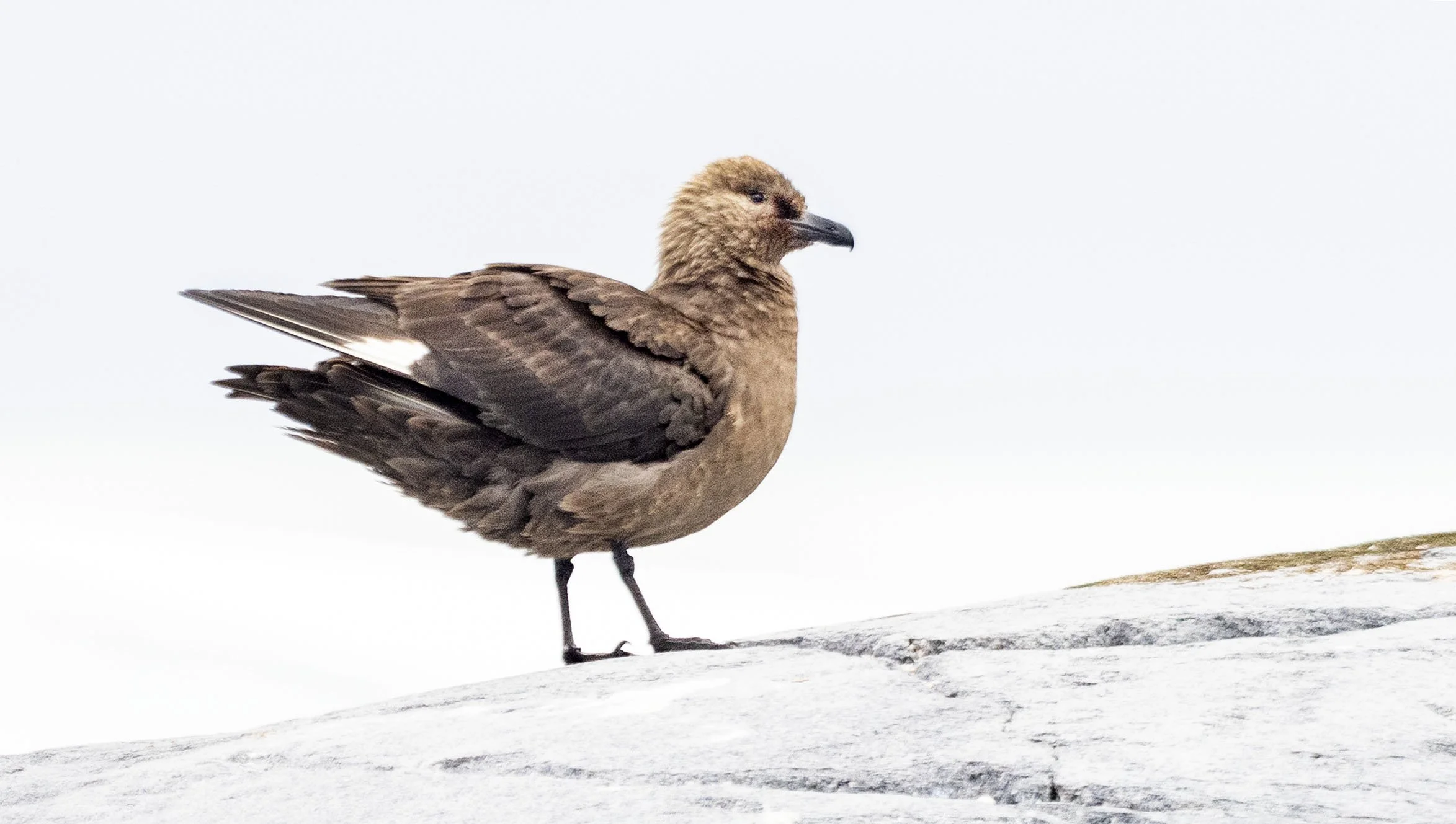 20260114 JP Day 6   0161.jpg