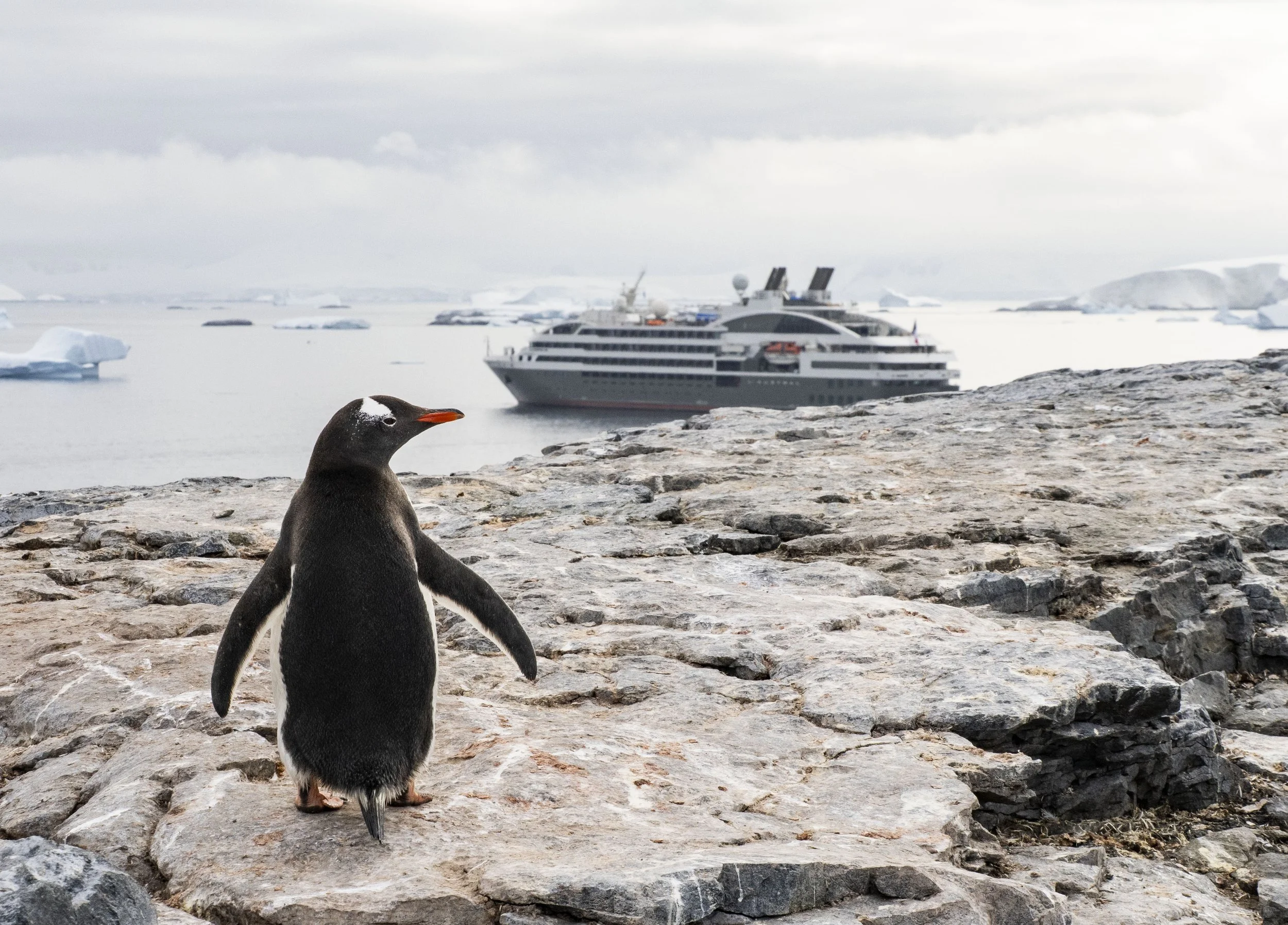 20260114 JP Day 6   0188.jpg