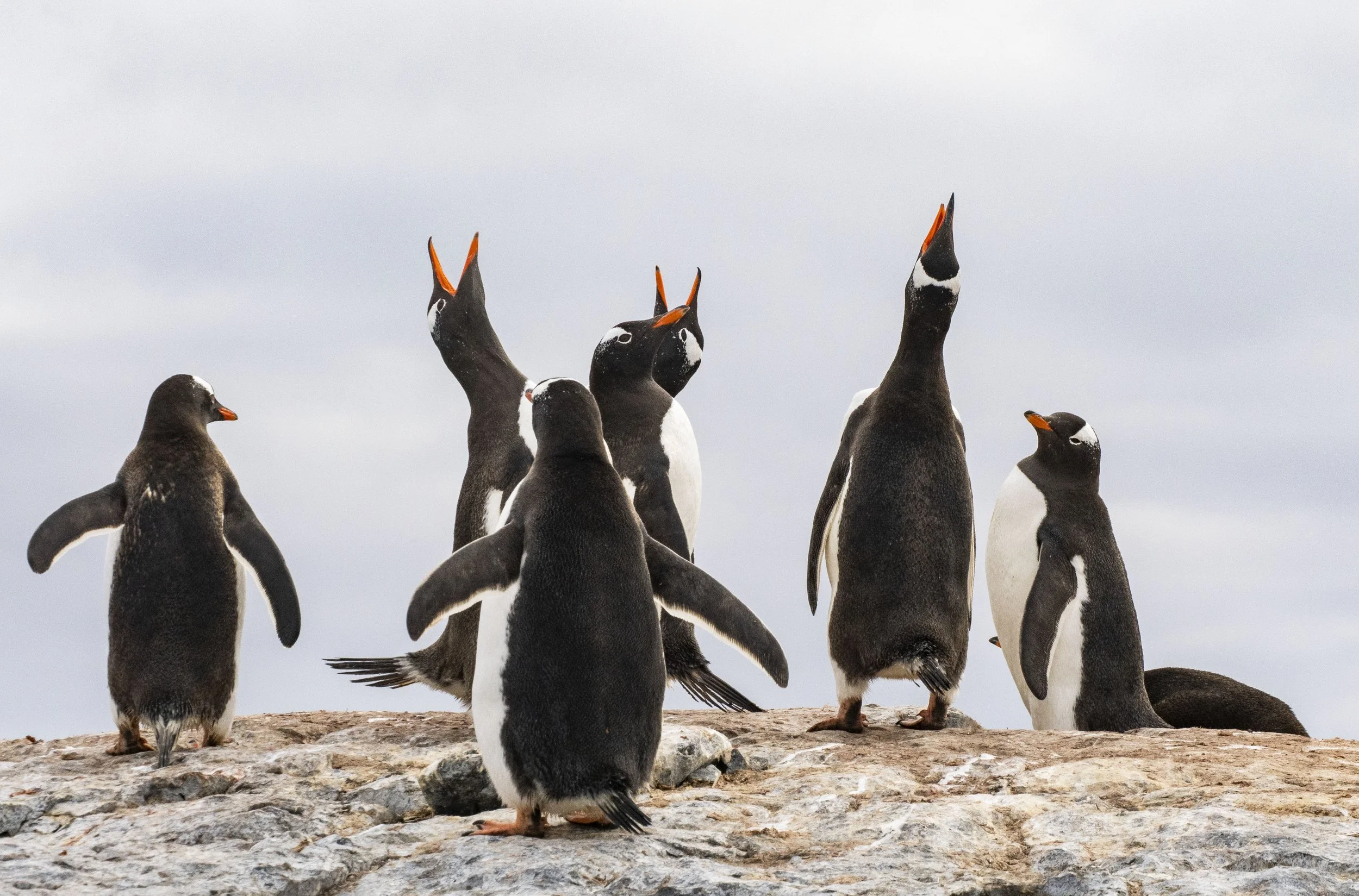 20260114 JP Day 6   0183.jpg