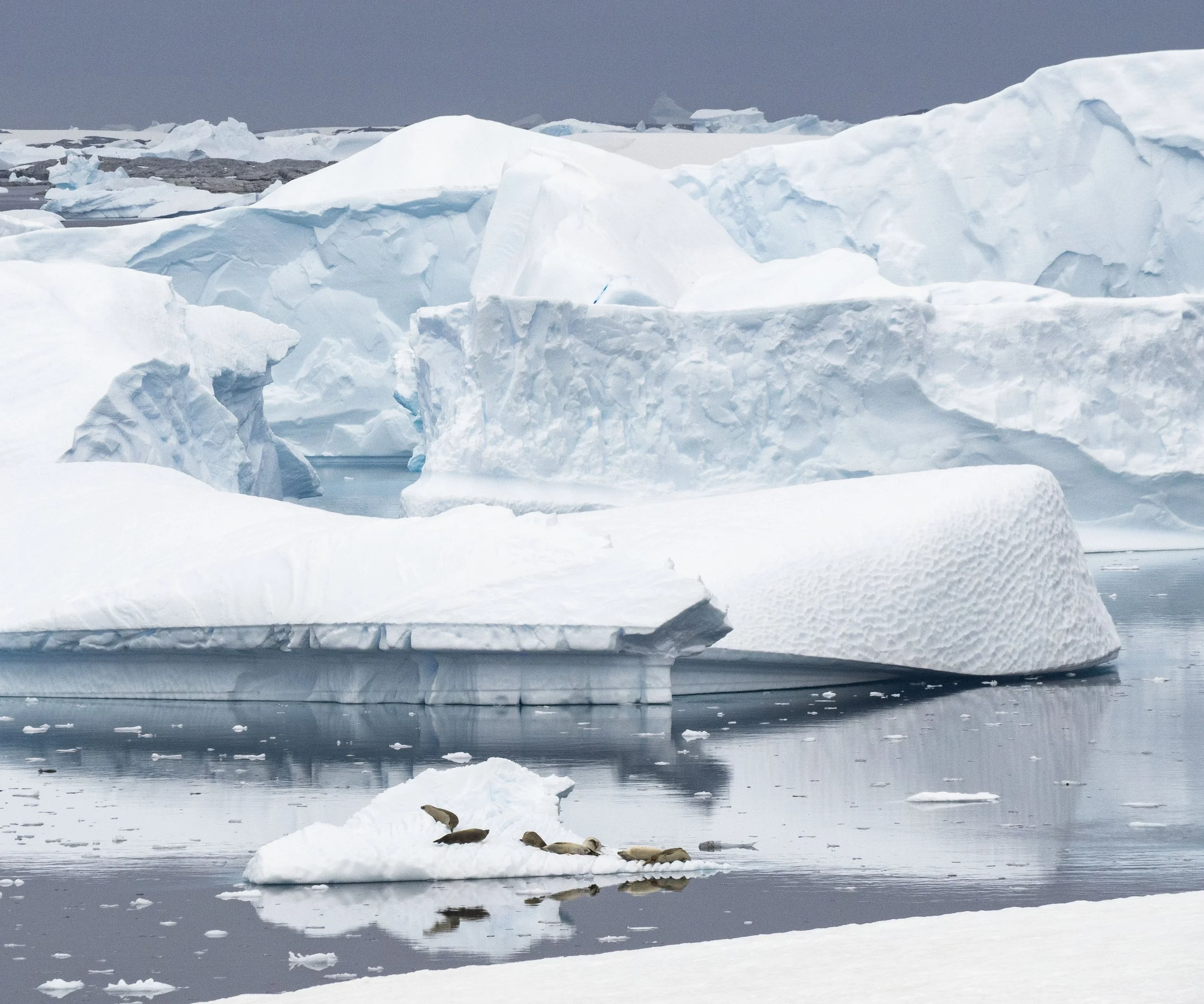 20260114 JP Day 6   0193.jpg