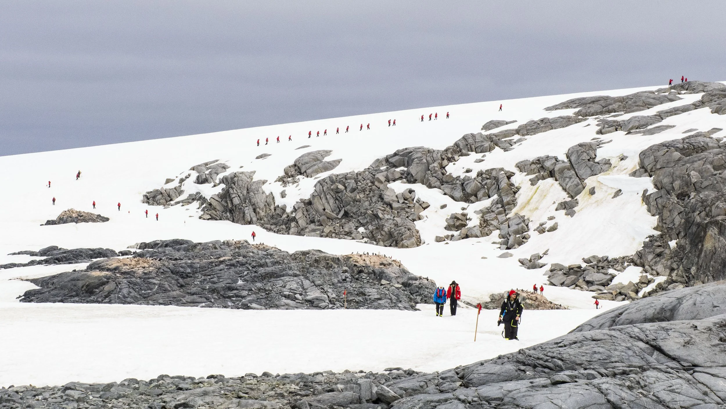 20260114 JP Day 6   0191.jpg