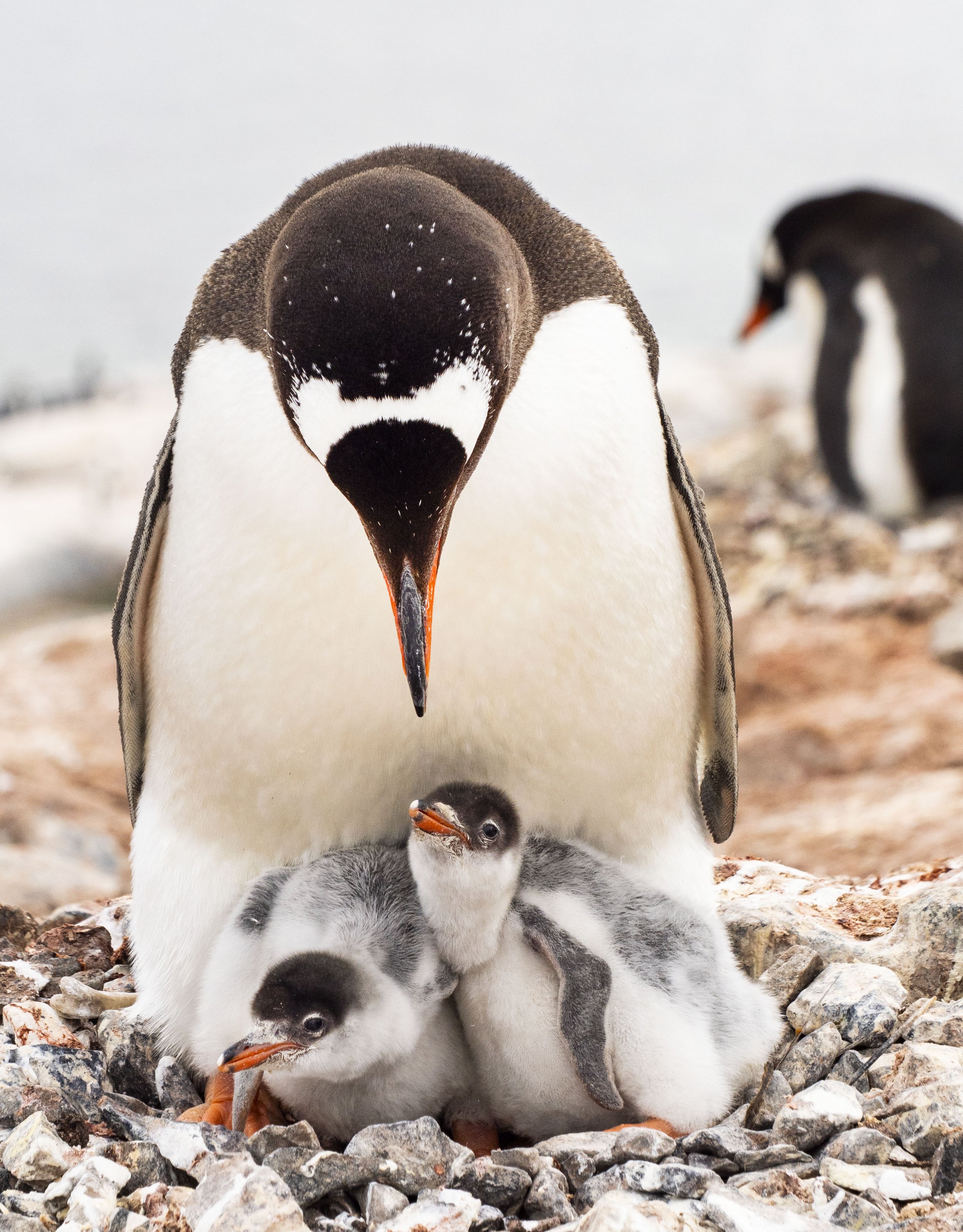 20260114 JP Day 6   0224.jpg