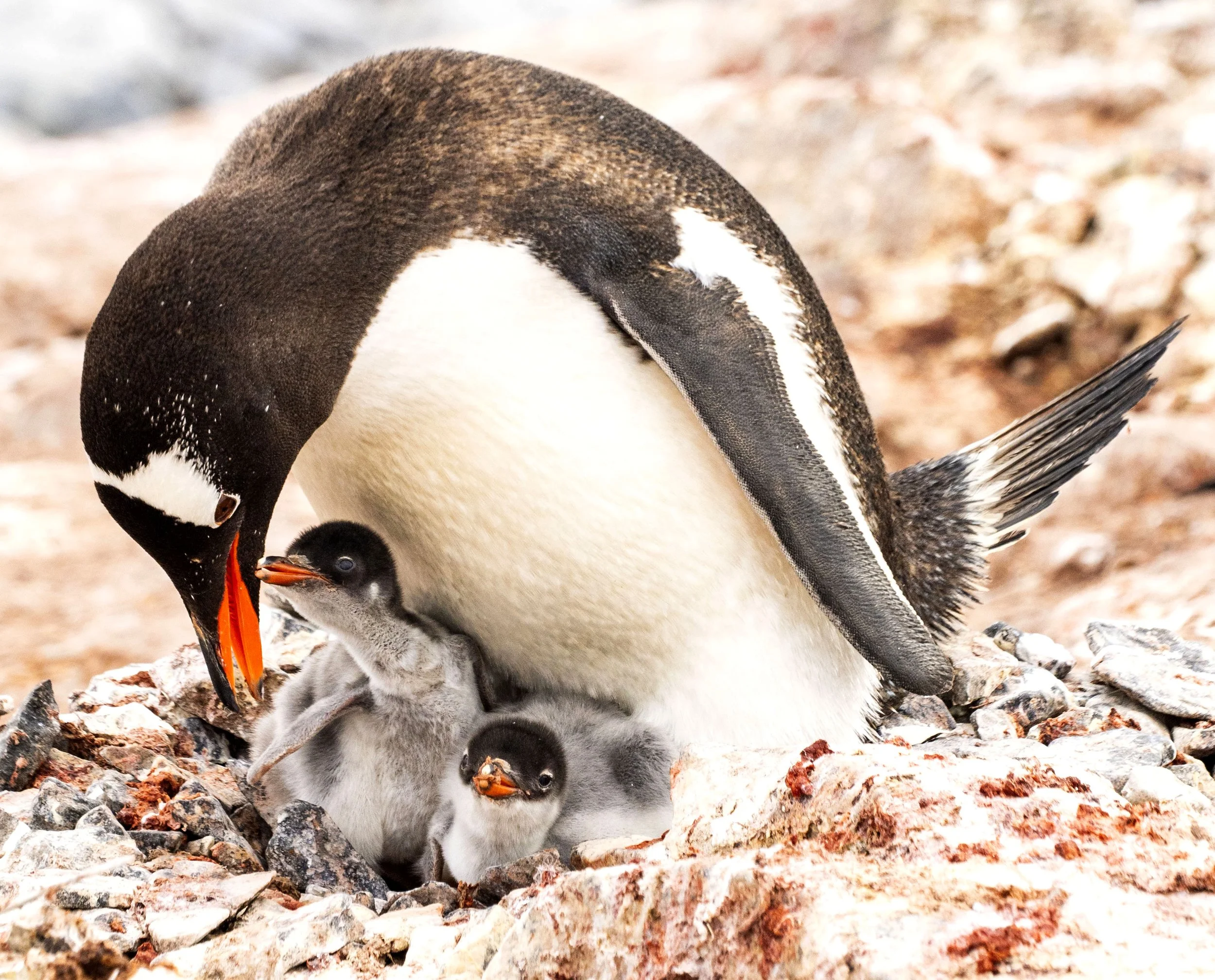 20260114 JP Day 6   0264.jpg