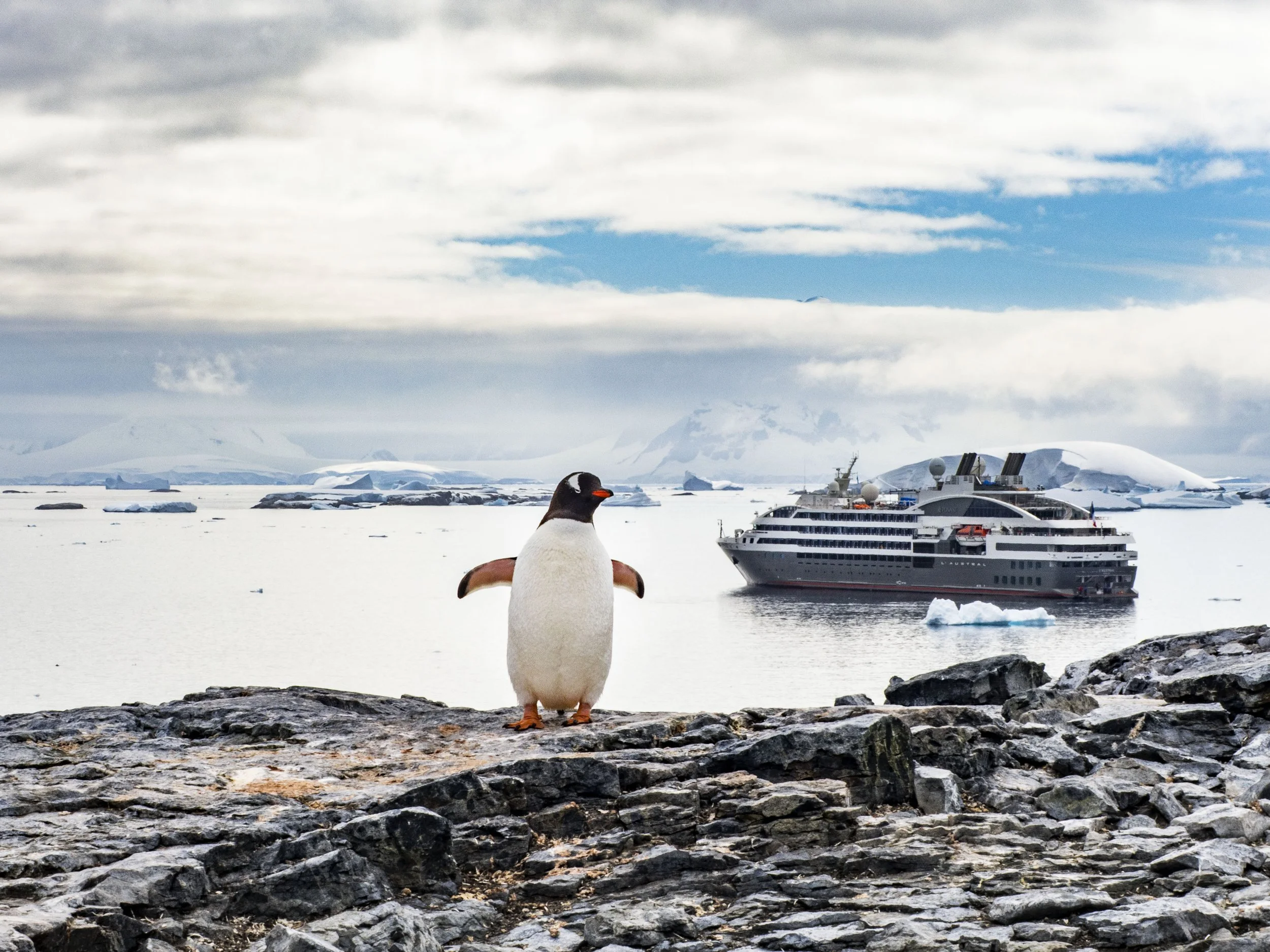 20260114 JP Day 6   0529.jpg