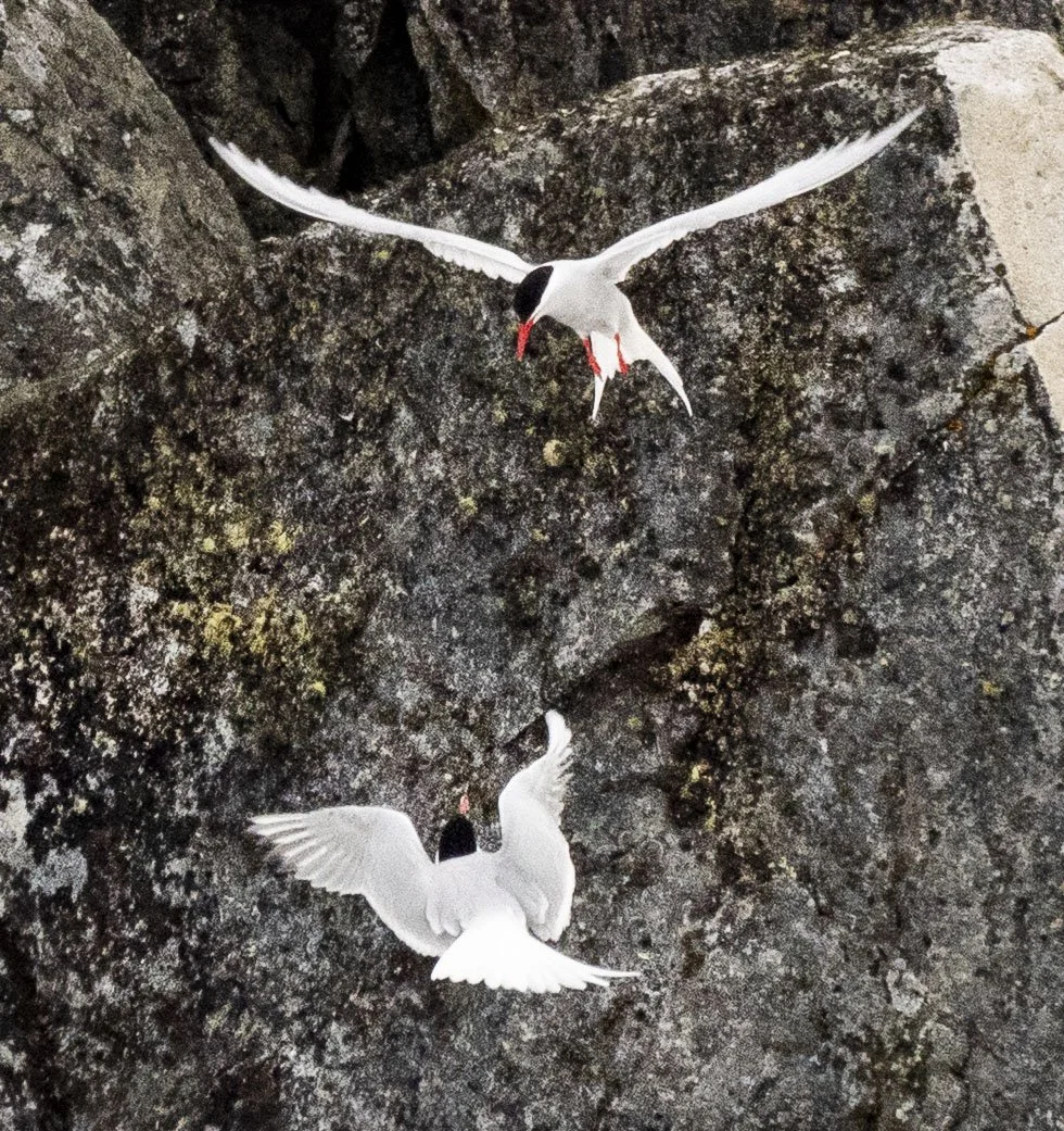 20260114 JP Day 6   0585.jpg