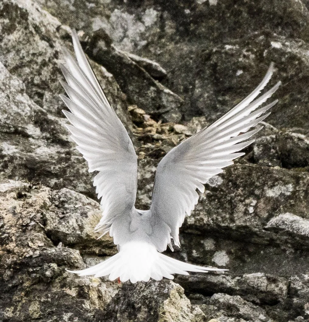 20260114 JP Day 6   0620.jpg