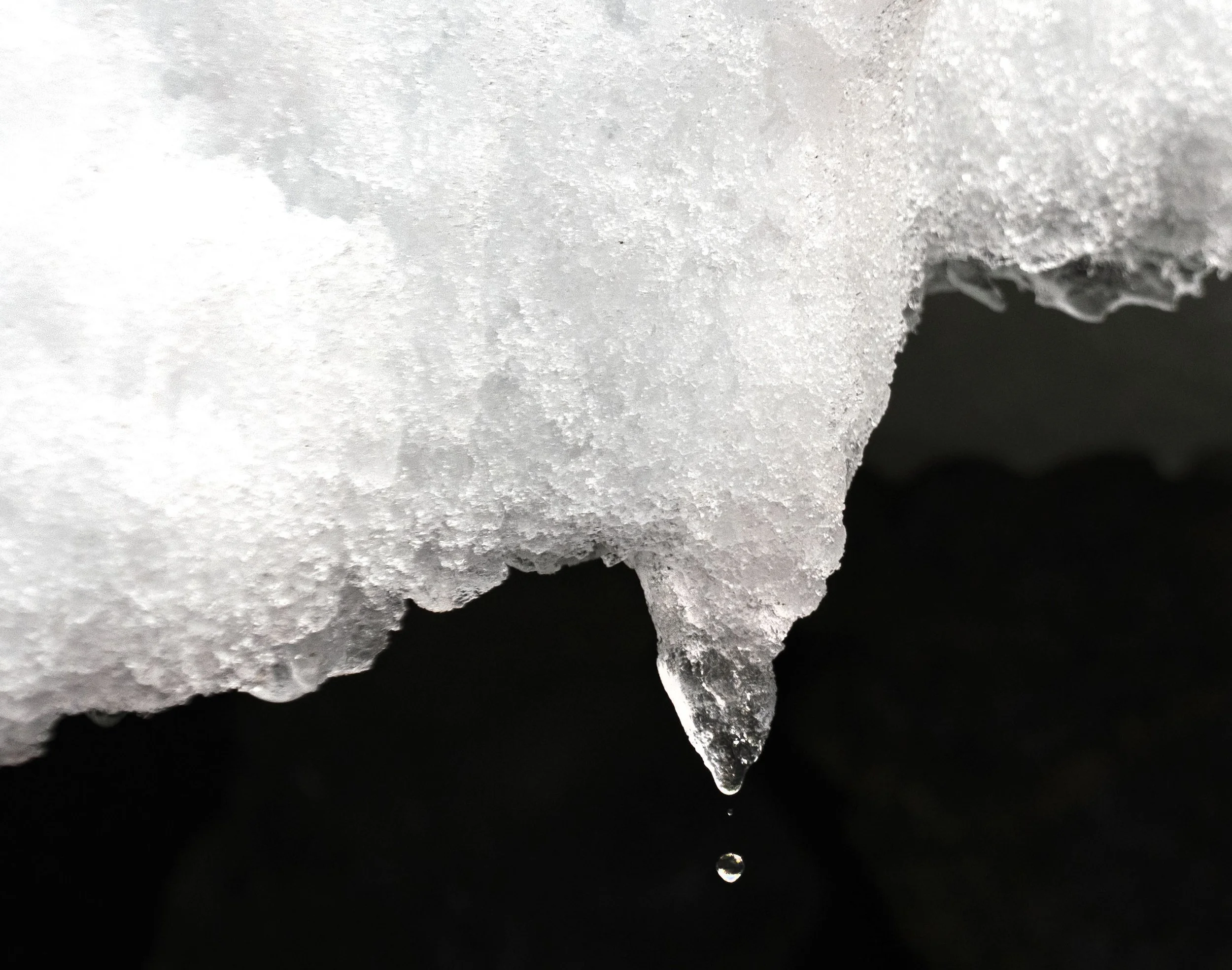 20260114 JP Day 6   0673.jpg