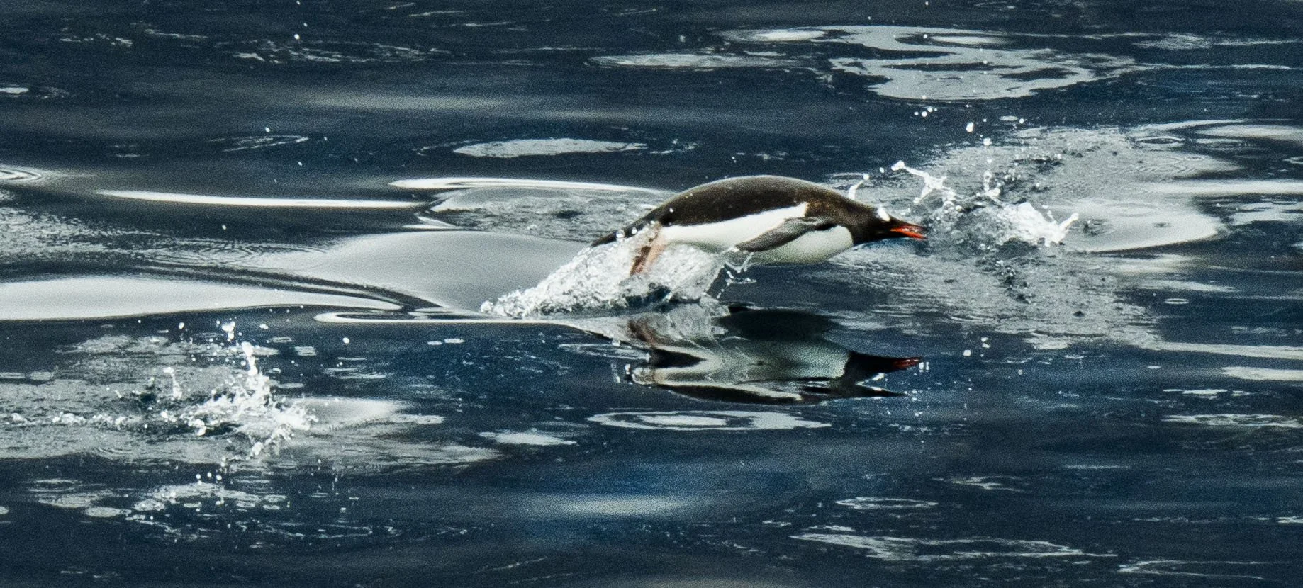 20260114 JP Day 6   0896.jpg