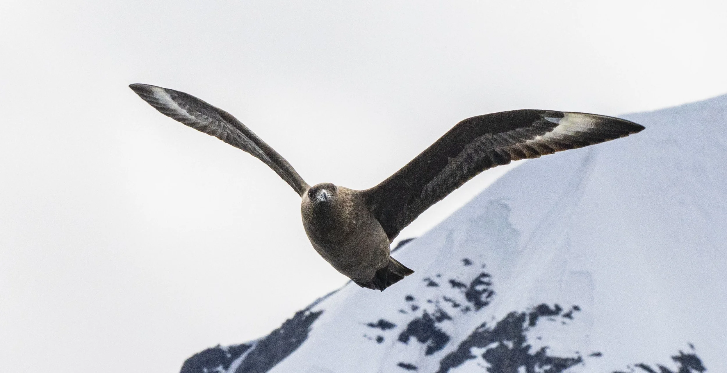 20260114 JP Day 6   0997.jpg