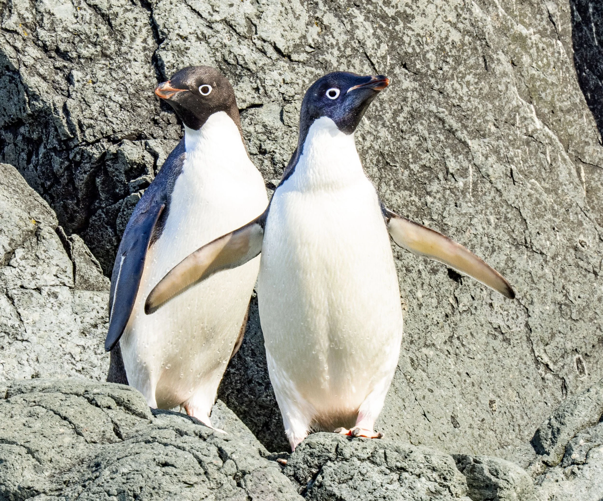 20260114 JP Day 6   1150.jpg