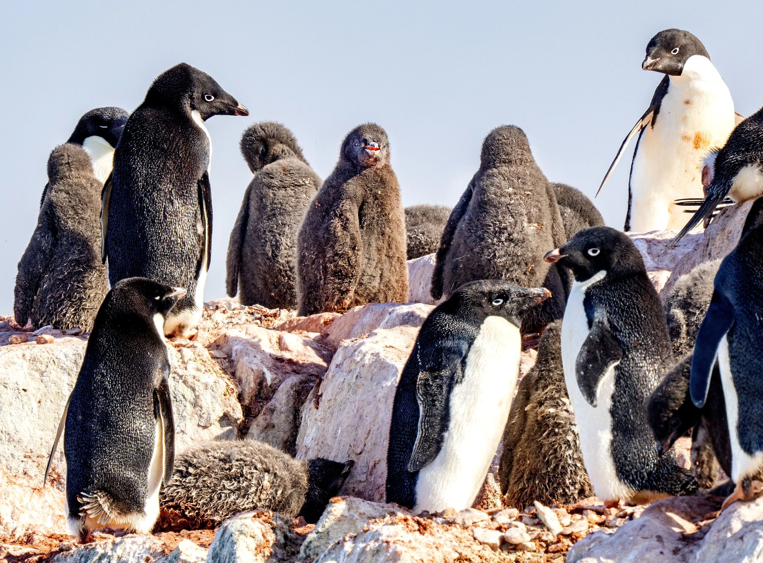 20260114 JP Day 6   1182.jpg