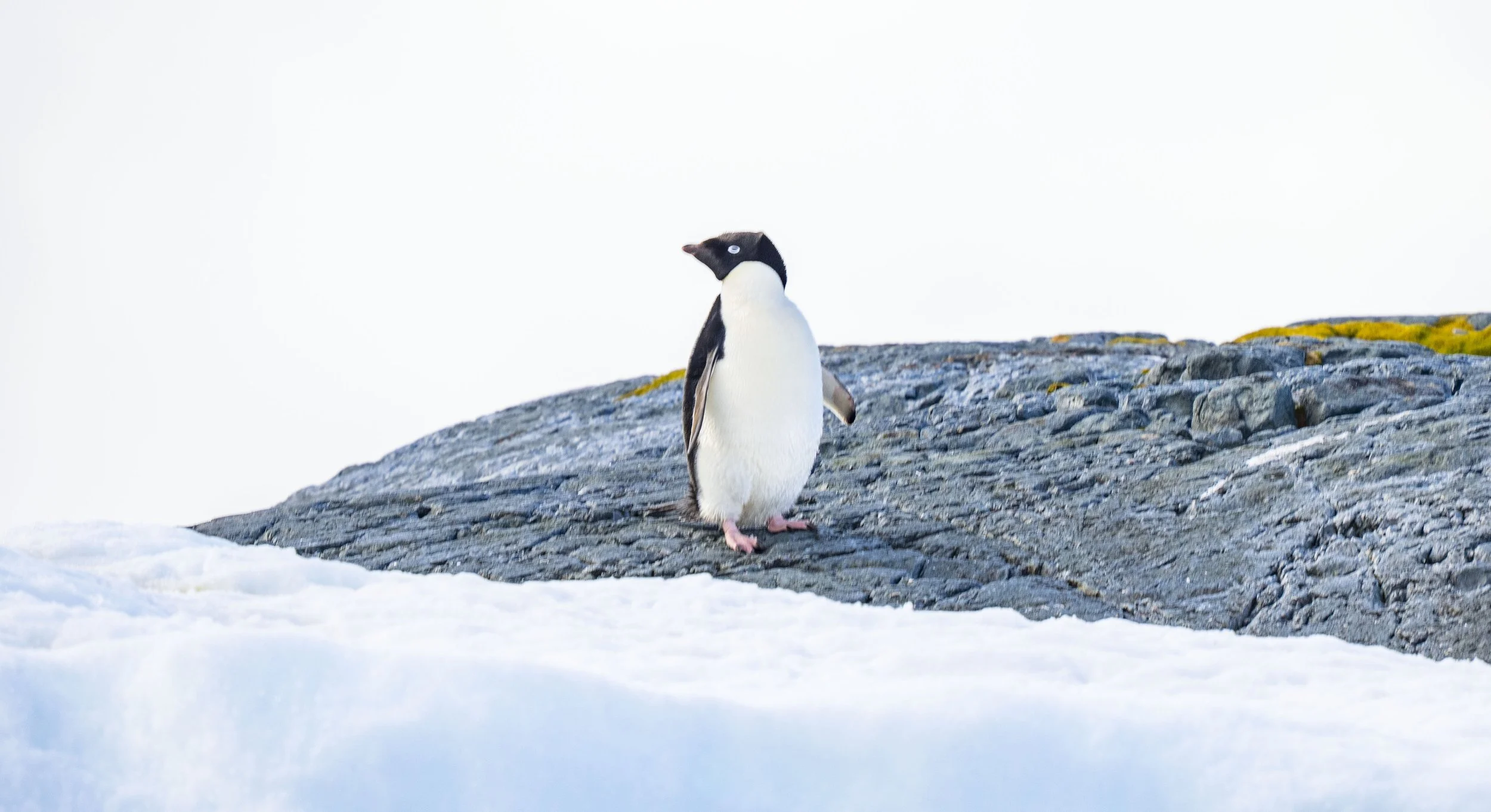 20260114 JP Day 6   1211.jpg