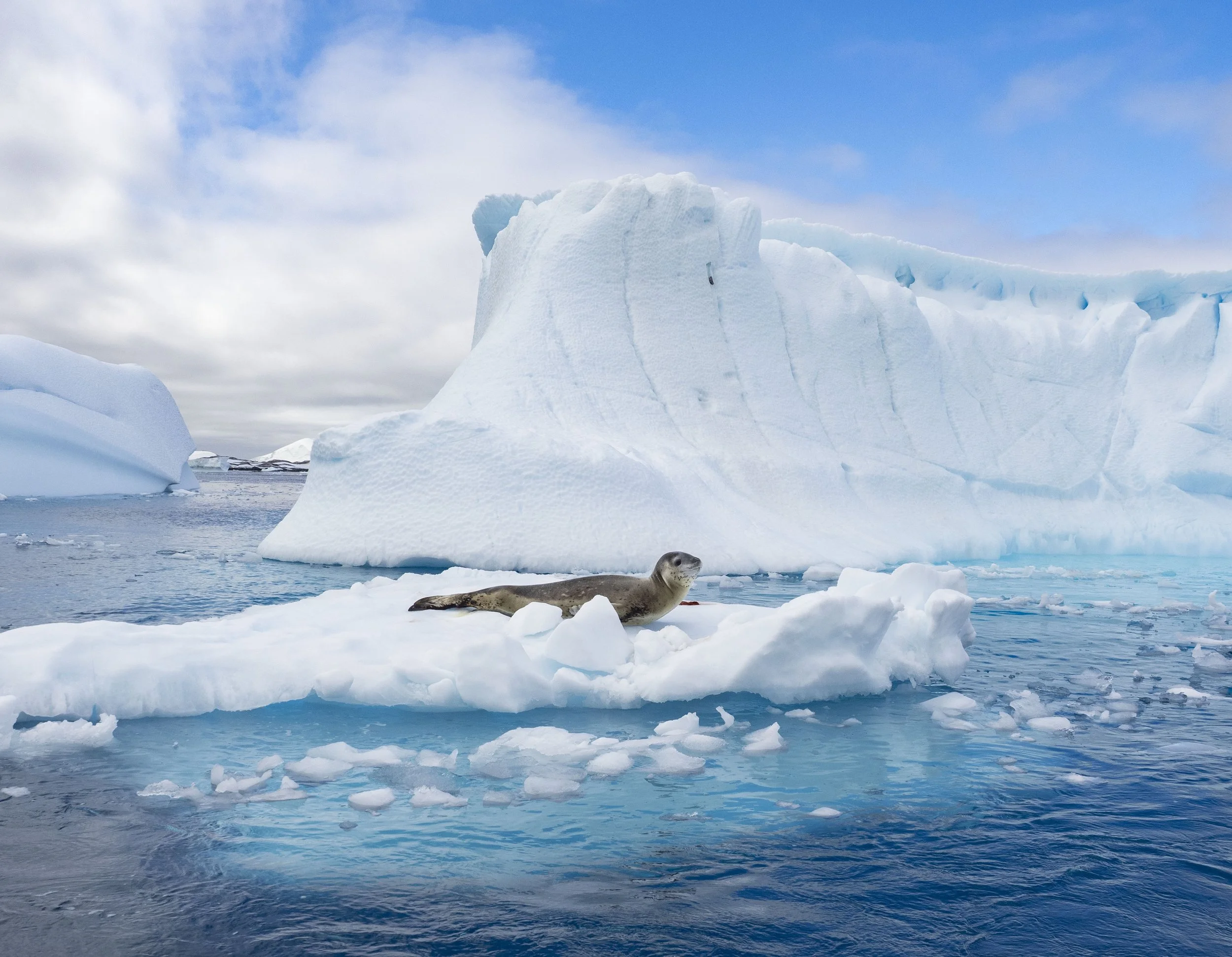 20260114 JP Day 6   1335.jpg