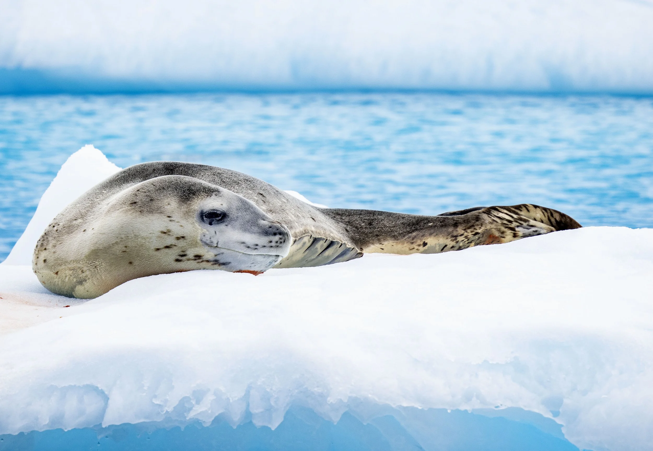 20260114 JP Day 6   1362.jpg