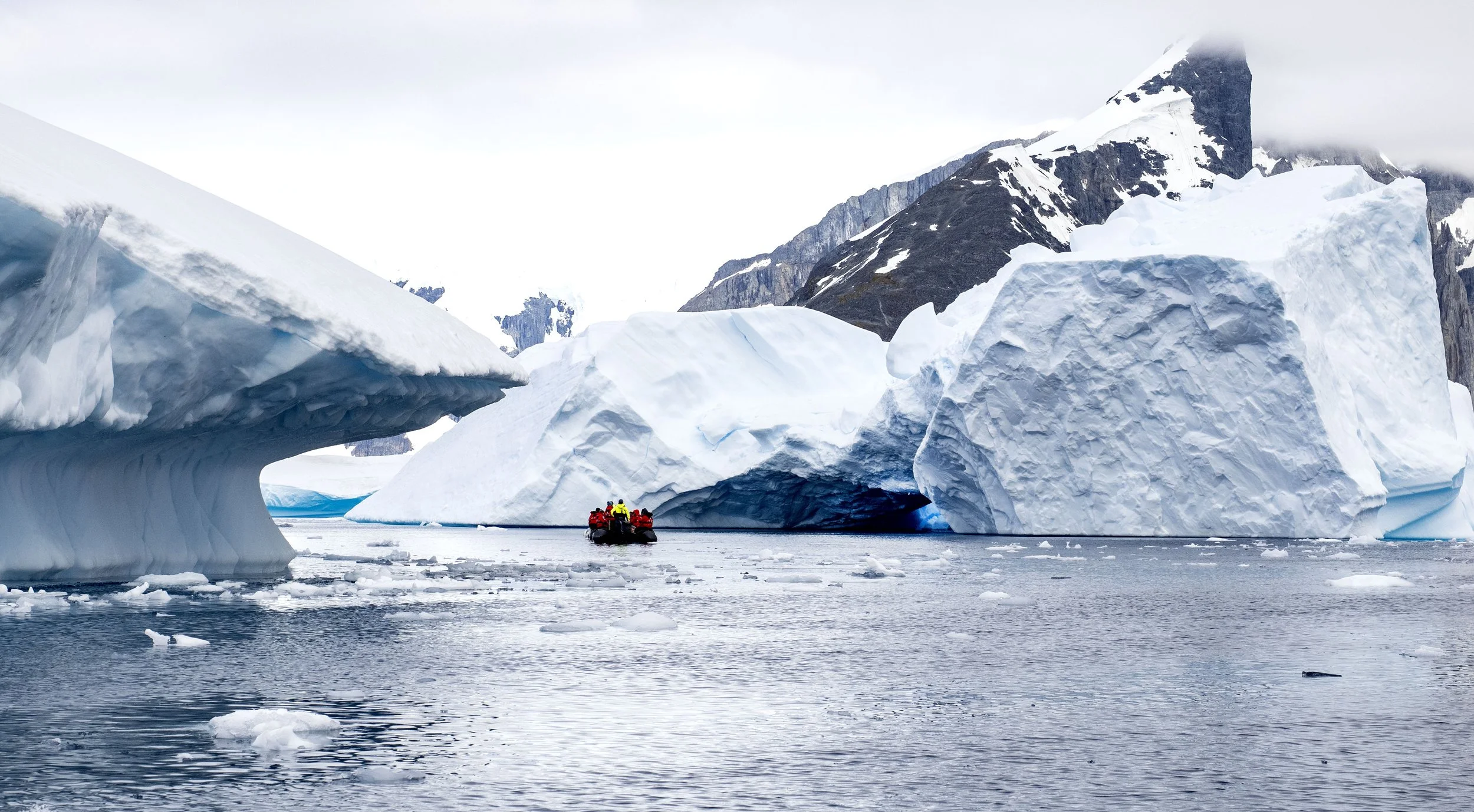 20260114 JP Day 6   1365.jpg