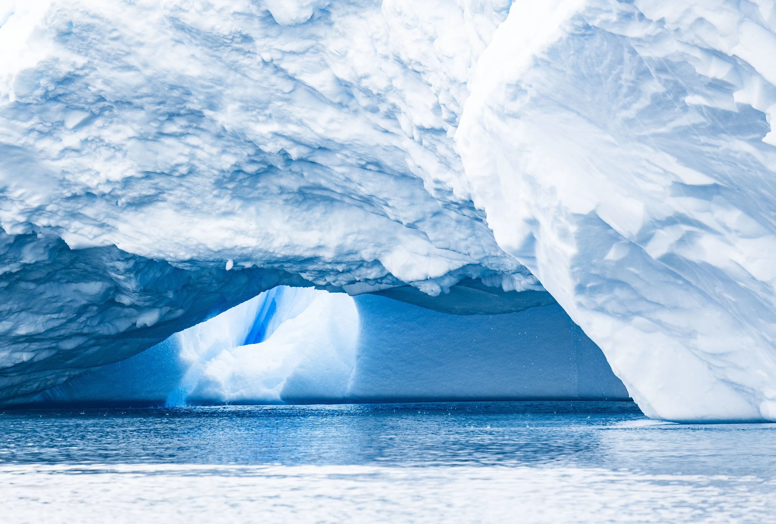 20260114 JP Day 6   1372.jpg