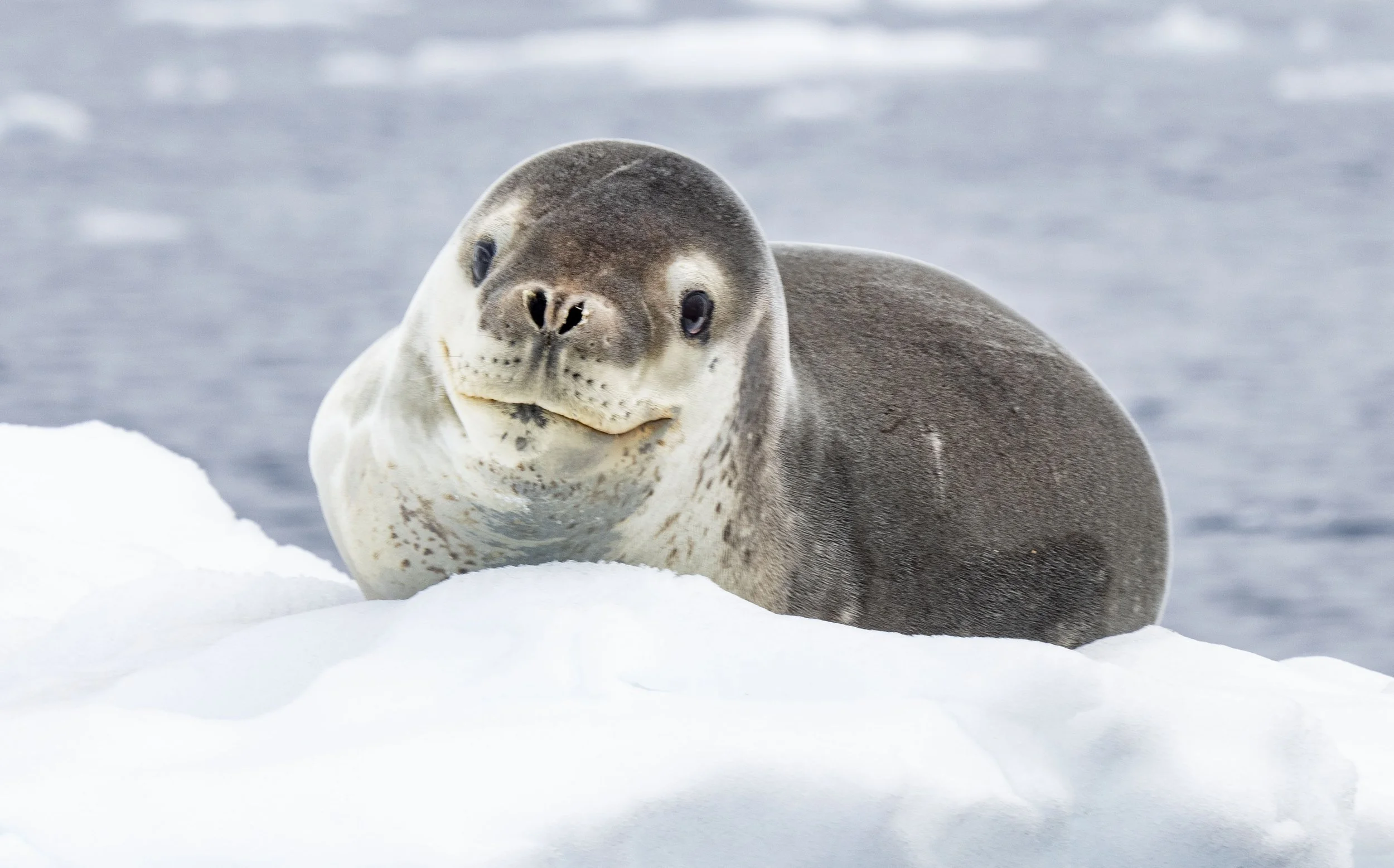 20260114 JP Day 6   1400.jpg