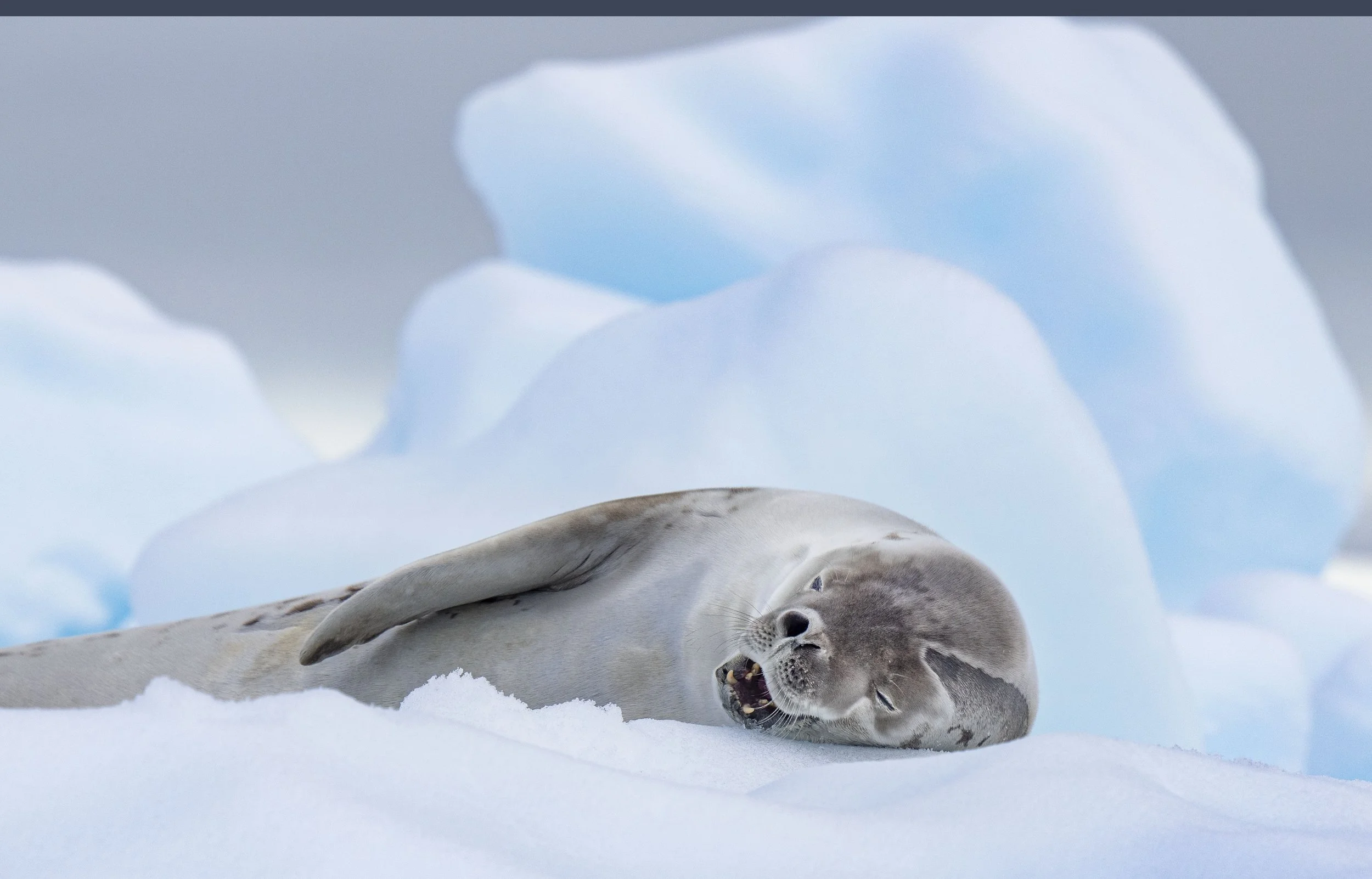 20260114 JP Day 6   1461.jpg