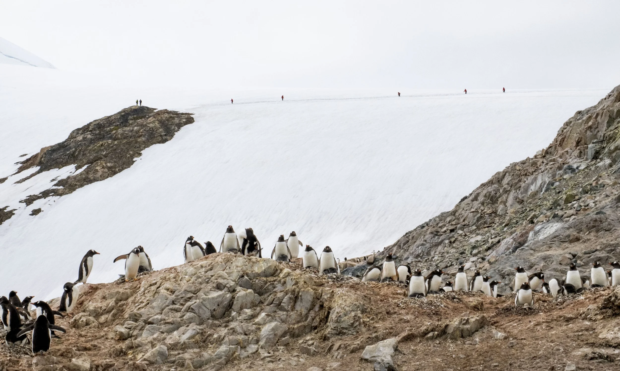 20260115 JP Day 7   0118.jpg