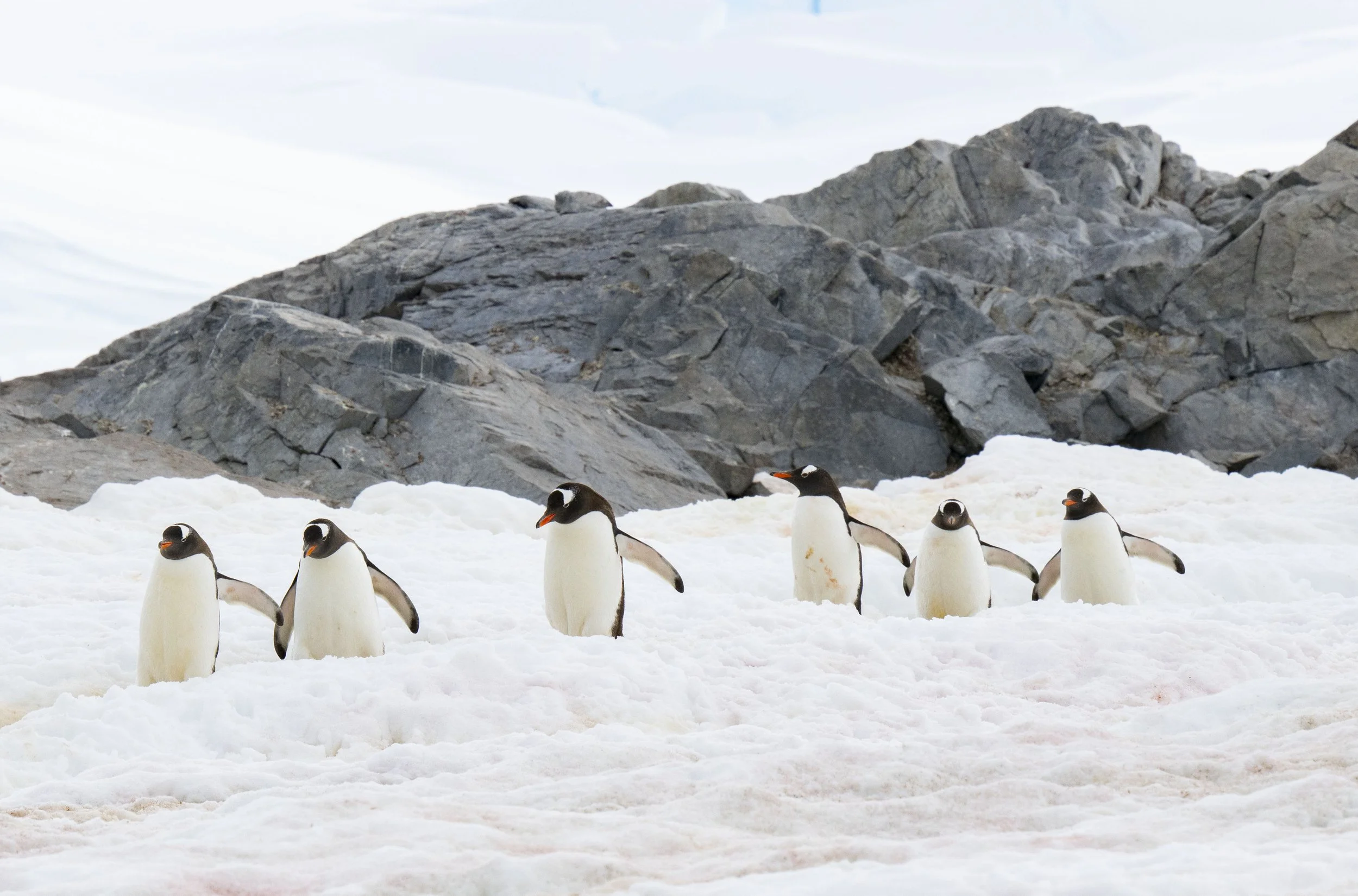 20260115 JP Day 7   0214.jpg