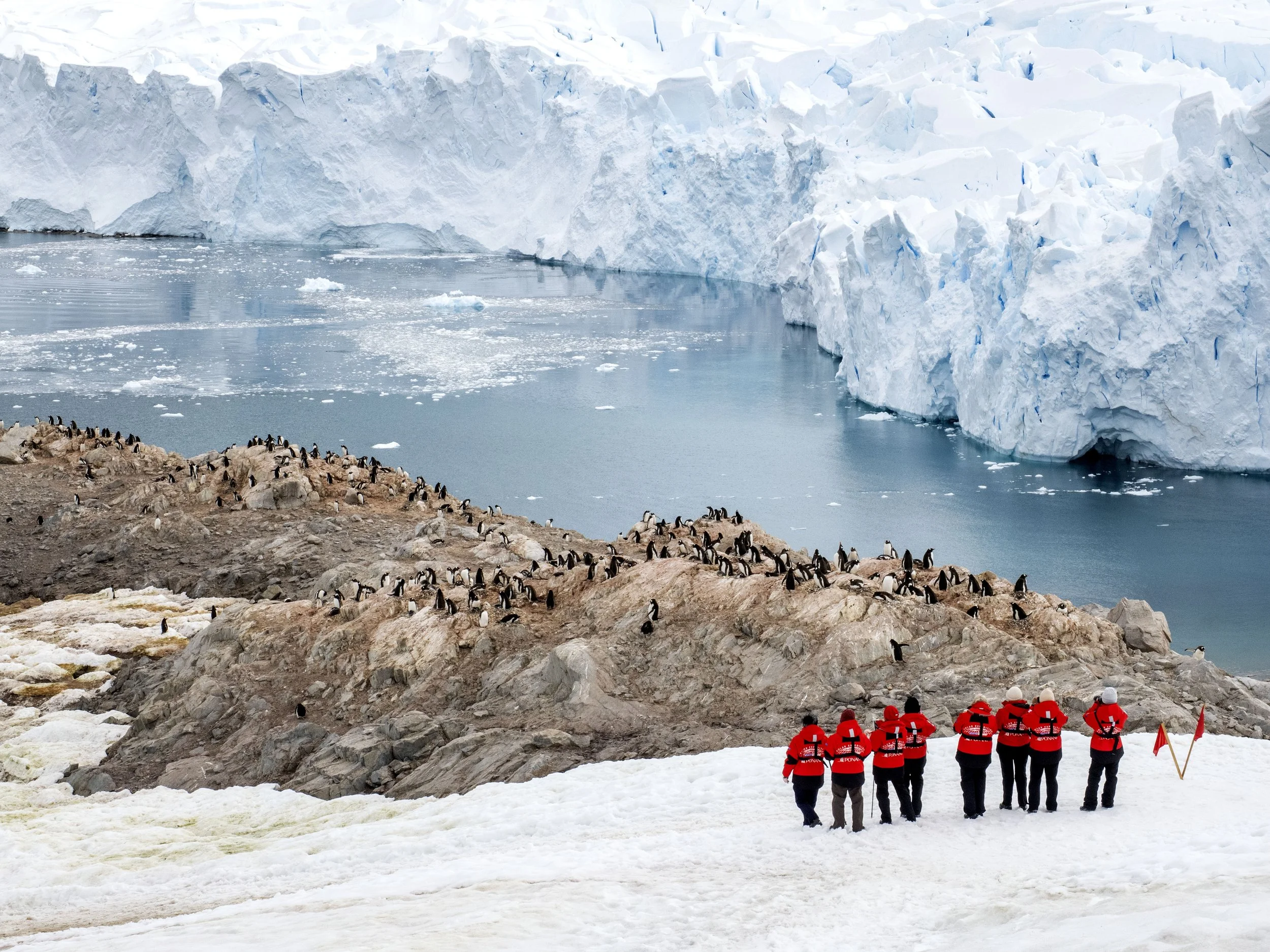 20260115 JP Day 7   0330.jpg