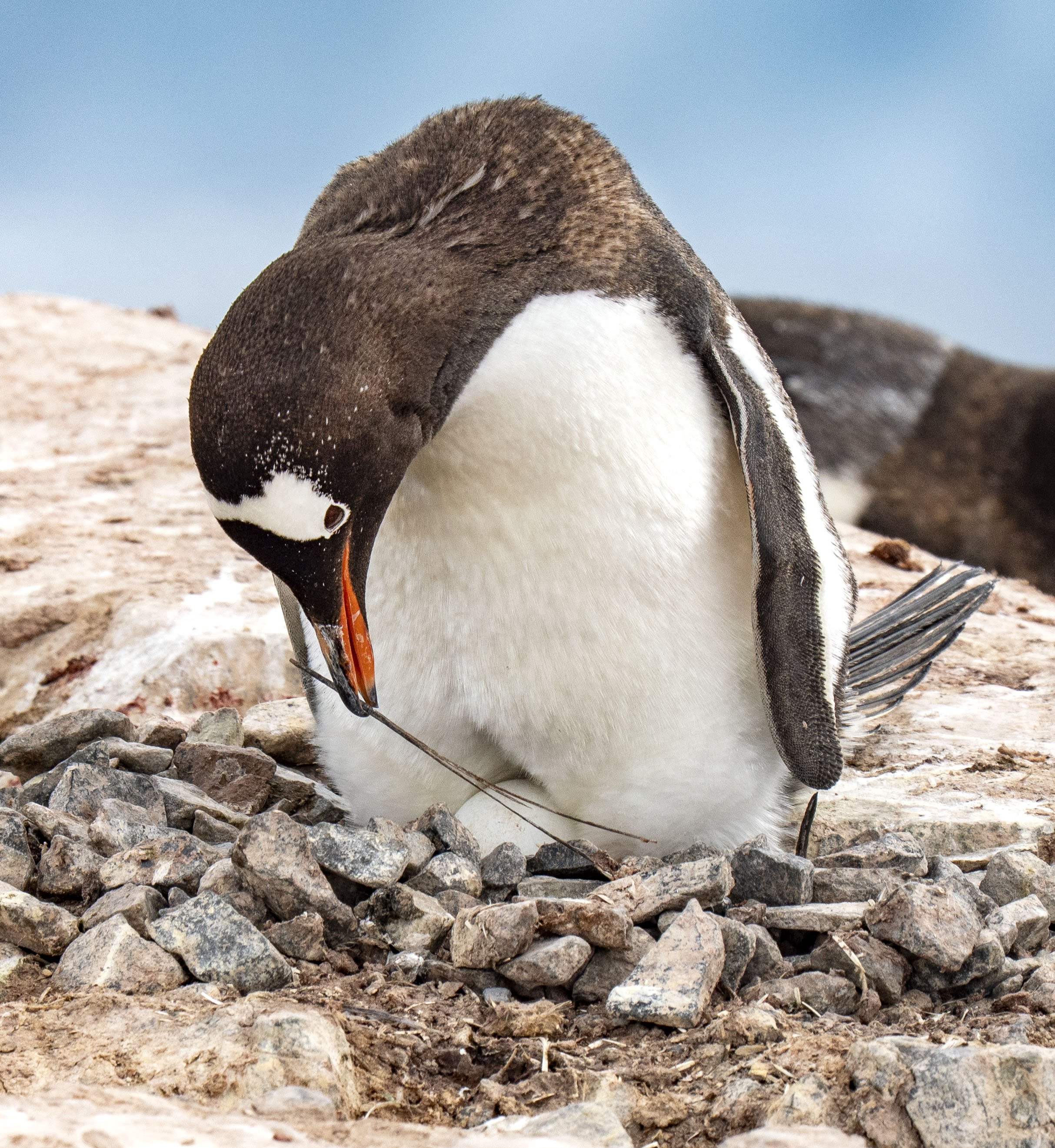 20260115 JP Day 7   0364.jpg