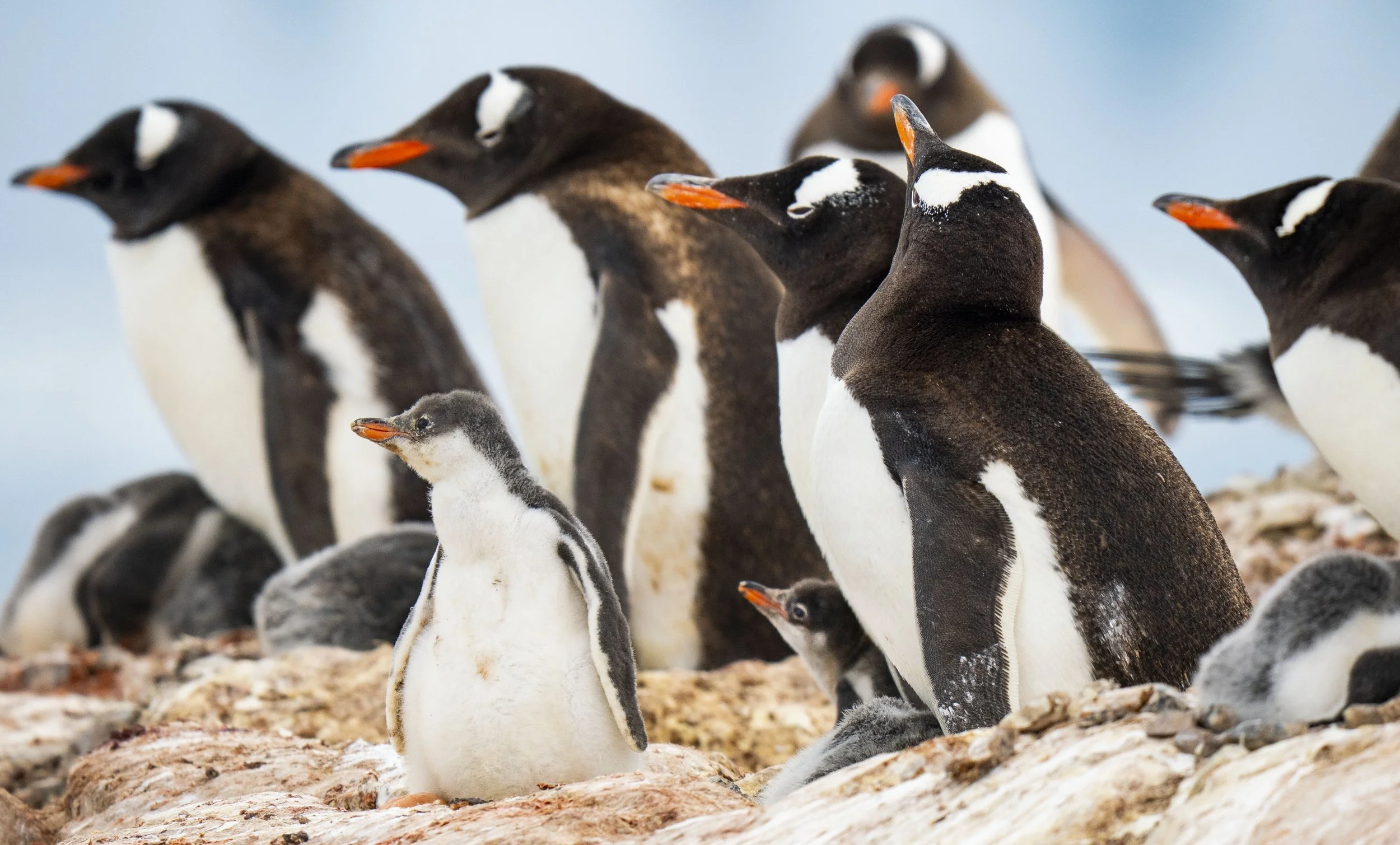 20260115 JP Day 7   0395.jpg