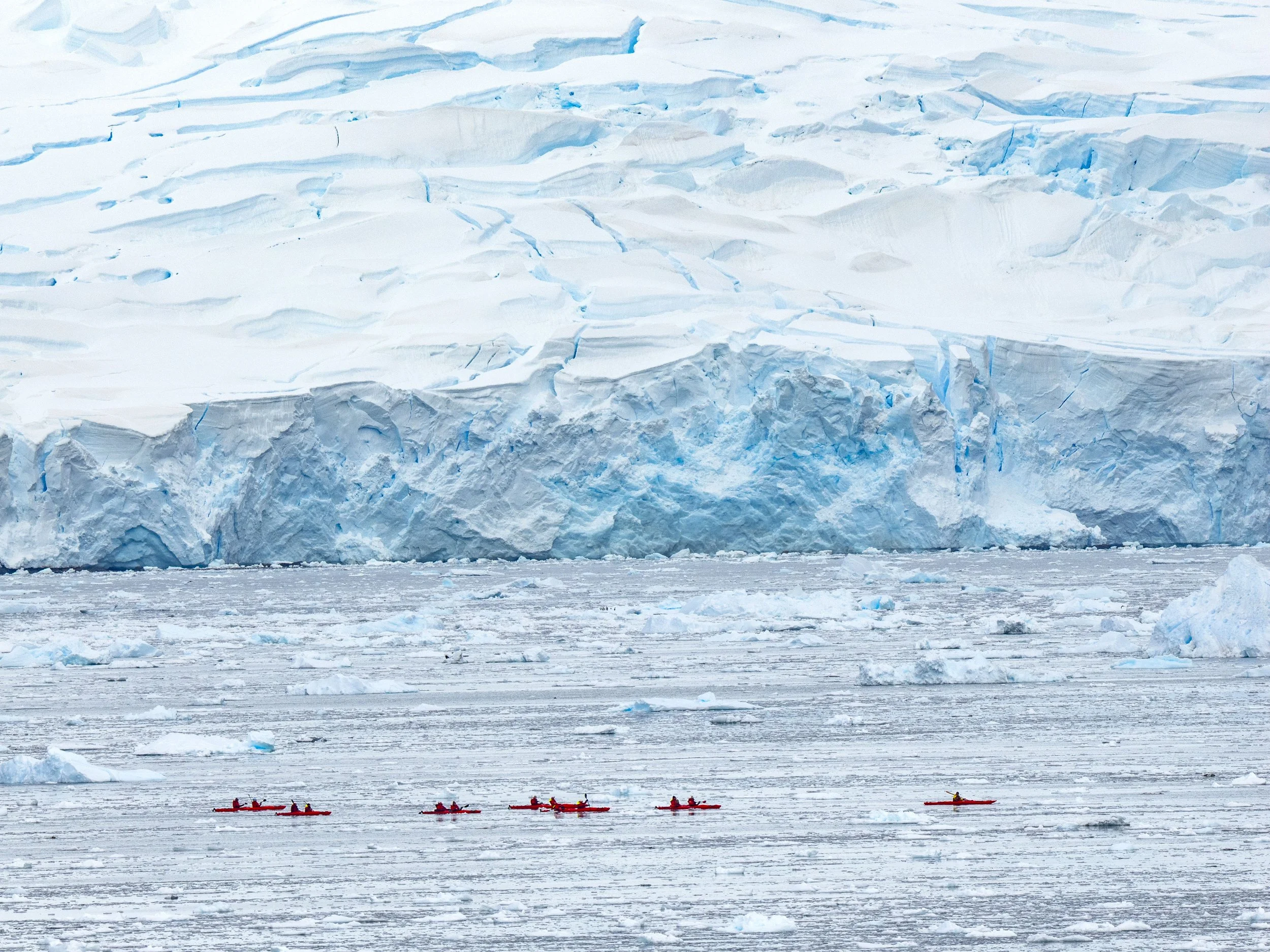 20260115 JP Day 7   0449.jpg