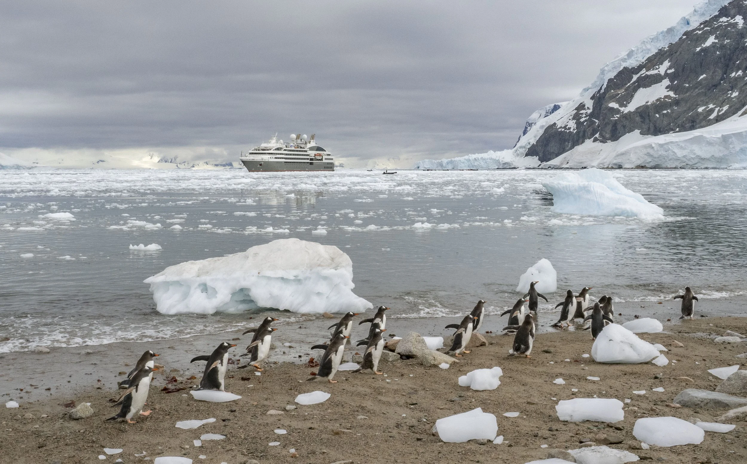 20260115 JP Day 7   0596.jpg