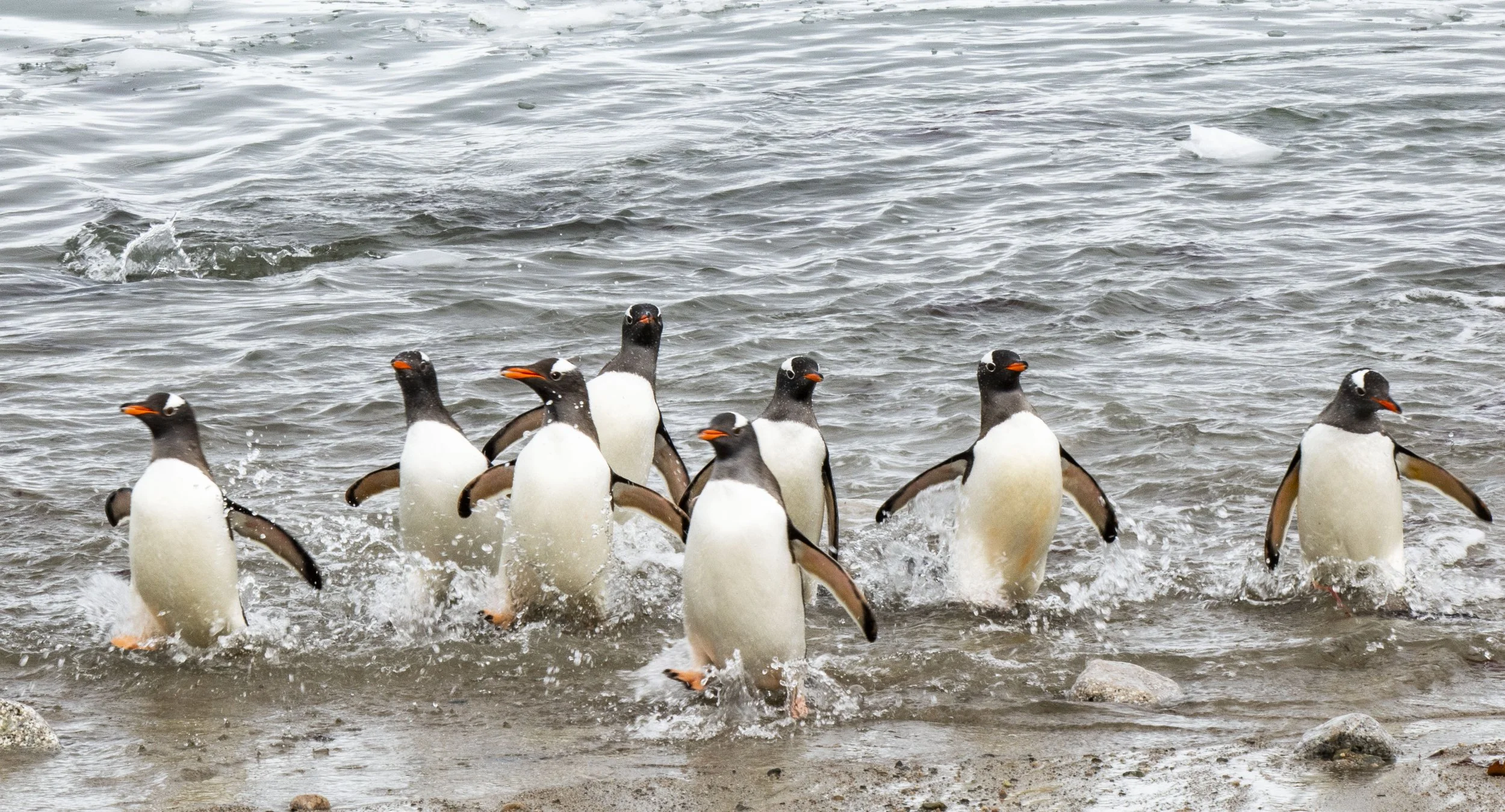 20260115 JP Day 7   0674.jpg